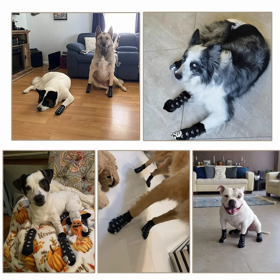 Calzini antiscivolo regolabili per cani controllo trazione interno