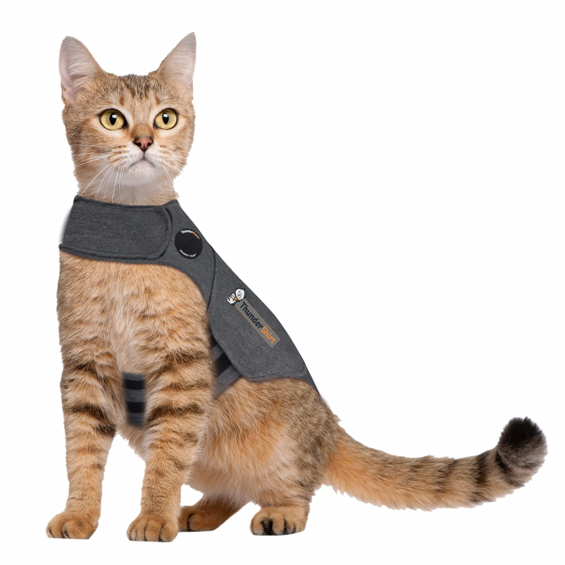 Thundershirt Per Gatti Grigio Grande 5,9 kg