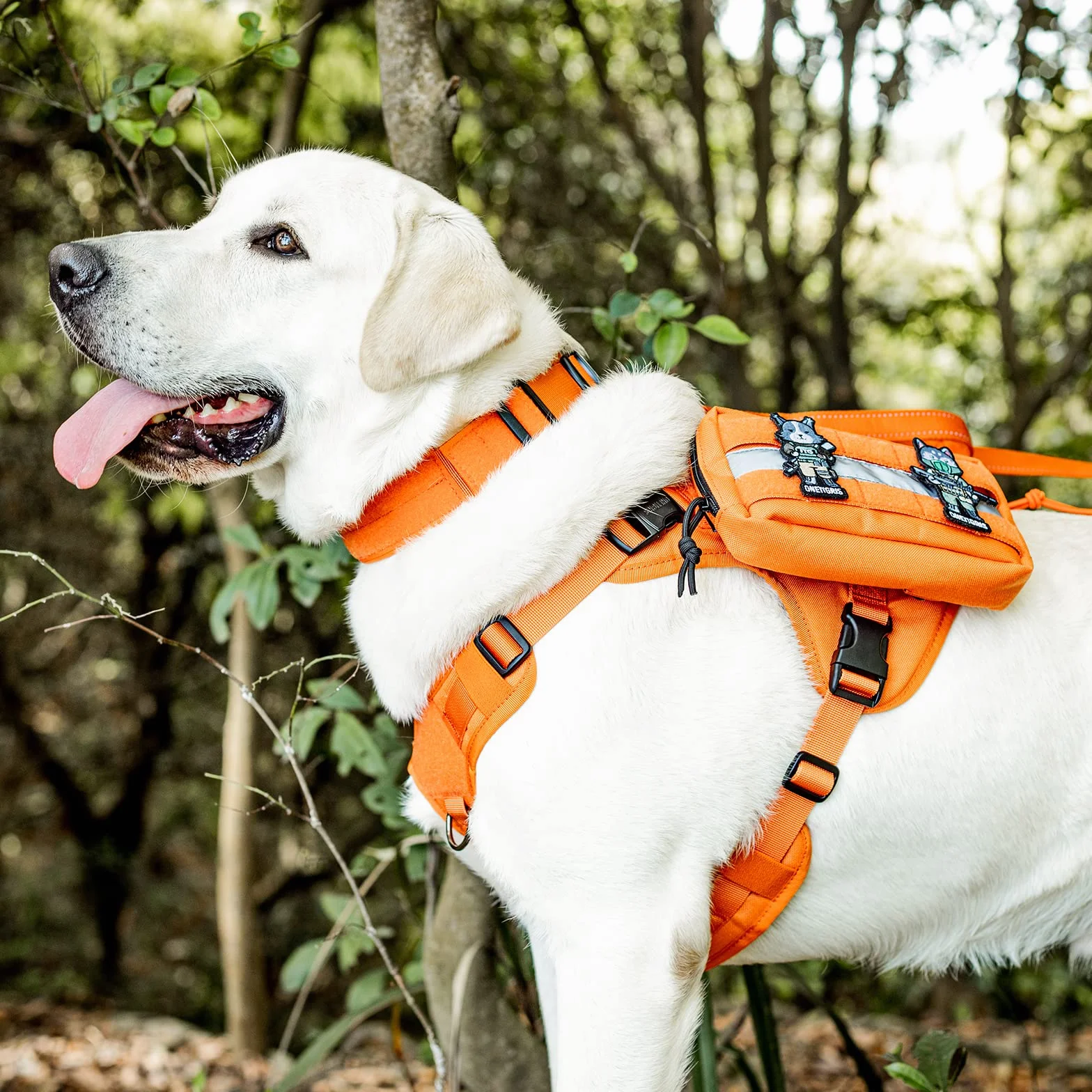 OneTigris Borsa da sella per cani da servizio, supporto emotivo, cane da servizio in addestramento, borsa da sella di qualità per gilet tattici per cani (arancione)