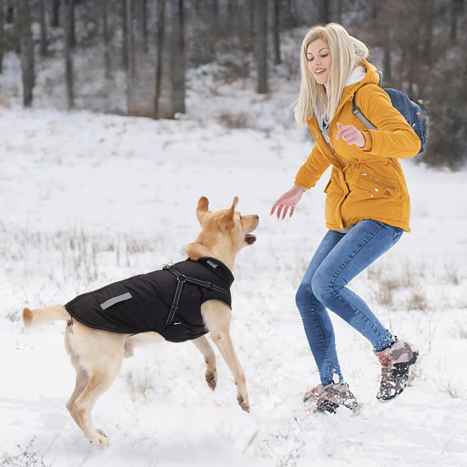 Cappotto Cane Invernale Impermeabile con Fodera in Pile Giacca Antivento per Cani Piccola Taglia Grande Media