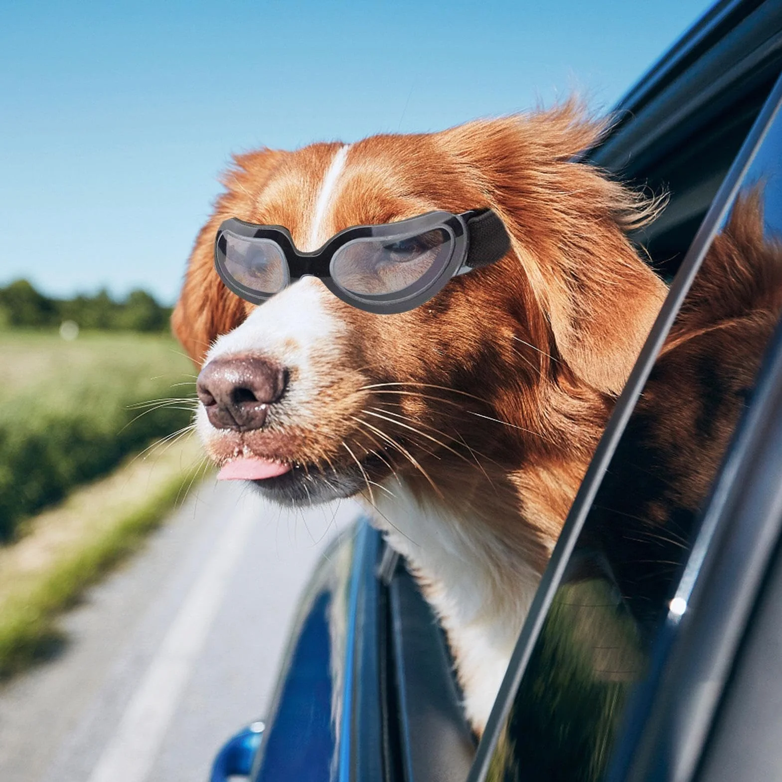 2 Pezzi Casco E Occhiali Per Cane, Sole Cane Protezione Testa Regolabile, Casco Regolabile Con Protezione Occhi, Casco Di Sicurezza Traspirante Regolabile Con Protezione Occhi