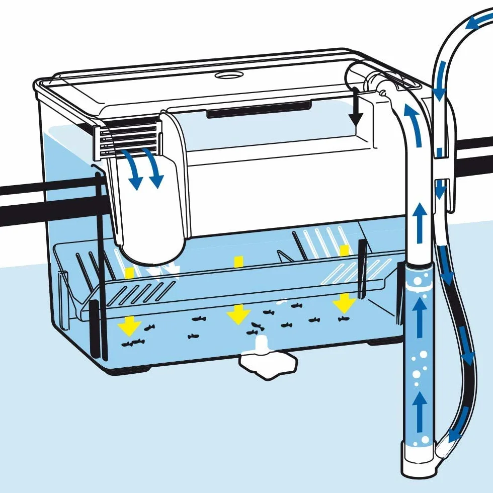 Amtra Esterba Hang On - Sala Parto Acquario, Vaschetta esterna da isolamento, Per Gestazione., Schiusa delle uova, 1,5 L/ 16X13X16 CM