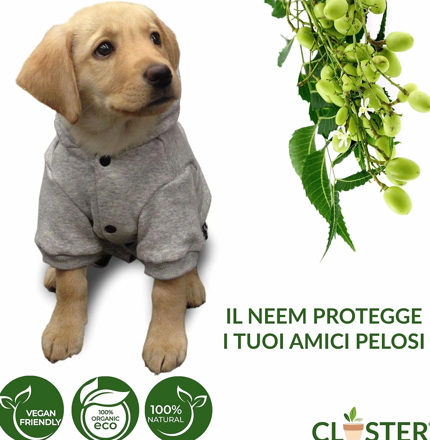 CLOSTER Neem Pet Protection 750 ml Antiparassitario Cani e Gatti Spray Repellente Insetti