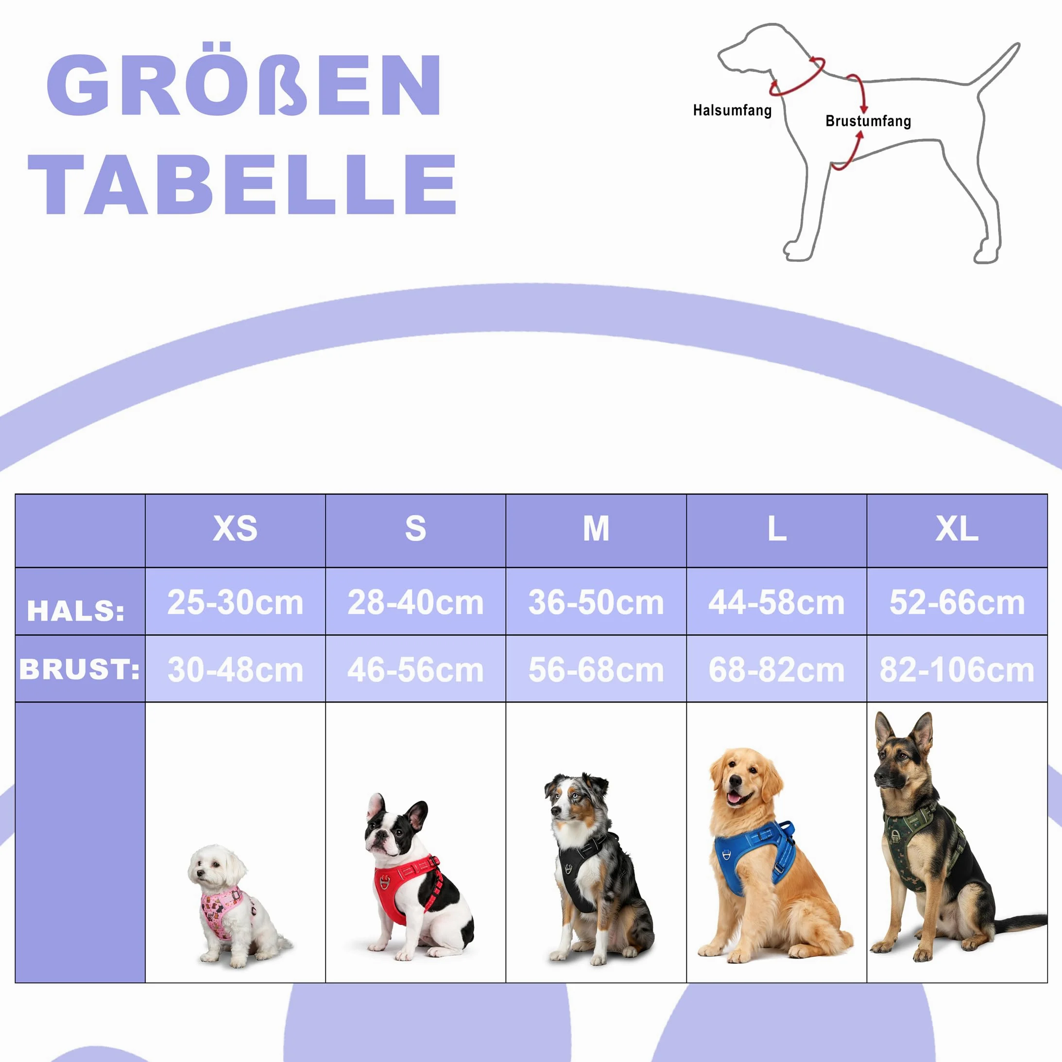 Reichstadt Pets Pettorina Cane Anti-Tiro per Cani Grandi 25RSP083 Blu L | Pettorina regolabile e imbottita con maniglia, inserti riflettenti e tessuto traspirante per passeggiate sicure