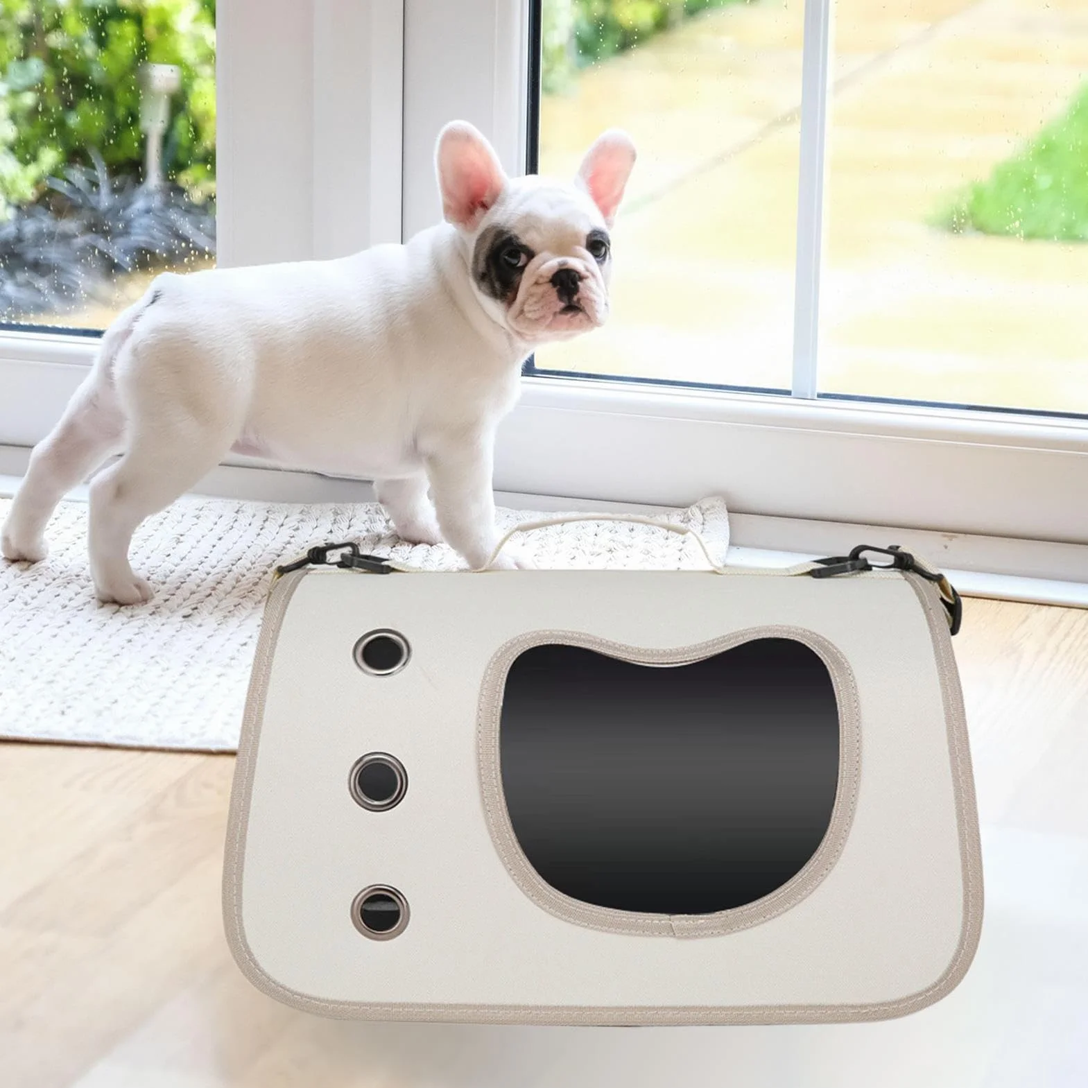 Borsa Trasportino Per Animali Domestici, Regolabile Sicuro Per Gatti, Trasporto Animali Portatile Soluzione per Passeggiate Picnic Campeggio
