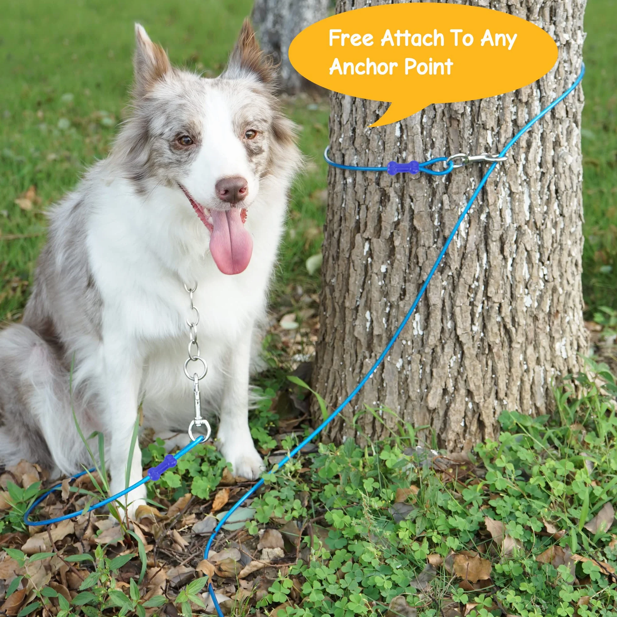 Petphabt - Cavo resistente per cani da 3 m, con spirale per cani da 16 cm, per cuccioli, animali domestici, guinzaglio per esterni (verde acqua)
