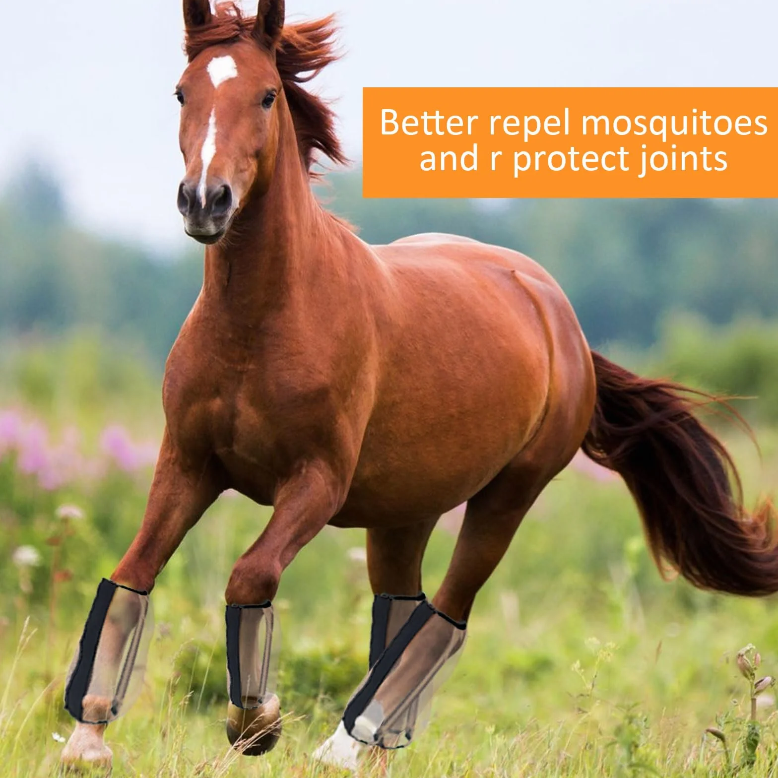 Stinchiere Cavallo Equitazione,4 Pezzi Di Antimosche Cavallo Stivale,Resistenti Agli Strappi Leggins Larghi per Cavalli,Traspiranti Stivali per Cavallo,Per Zoccoli Di Cavalli Morsi Anti-Mosche