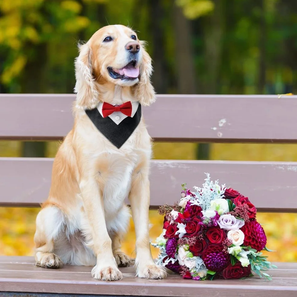 DONGKER Bandana Smoking per Cani, Collare Regolabile con Anello a D per Cane Gatti Piccola Media Grande