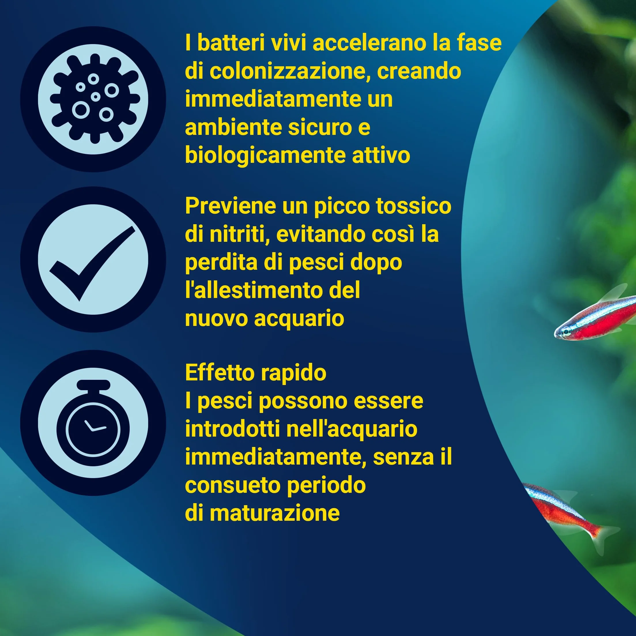 Tetra SafeStart Attivatore per Acquari, Consente di Introdurre i Pesci Immediatamente dopo L'allestimento dell'Acquario, 100 ml