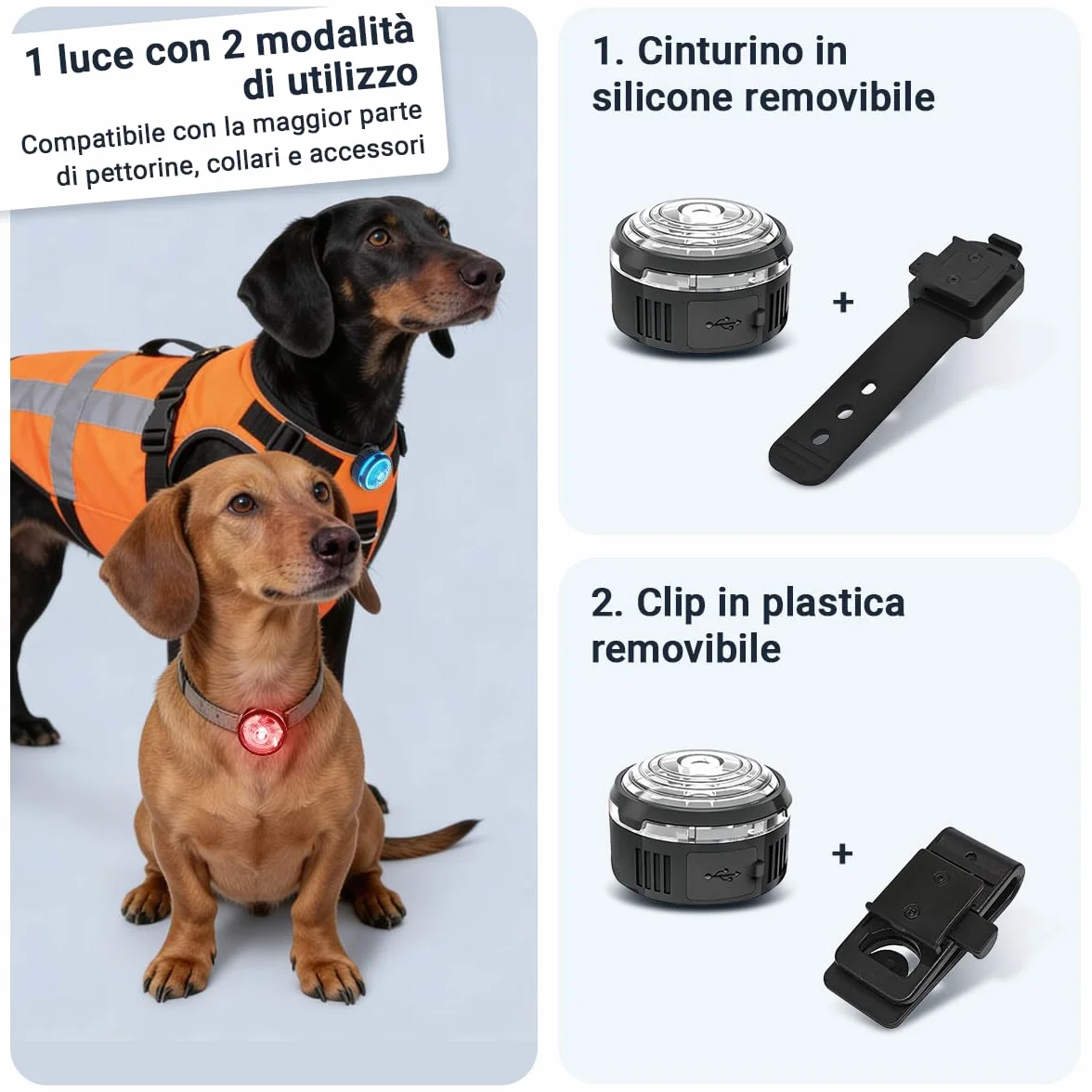 PAJ LIGHT MINI - LED Ultraluminoso per Collari e Pettorine - Cani Piccoli, Medi e Gatti - Regolazione Flessibile - 100% Impermeabile - 7 Colori - Sicurezza e Visibilità Notturna