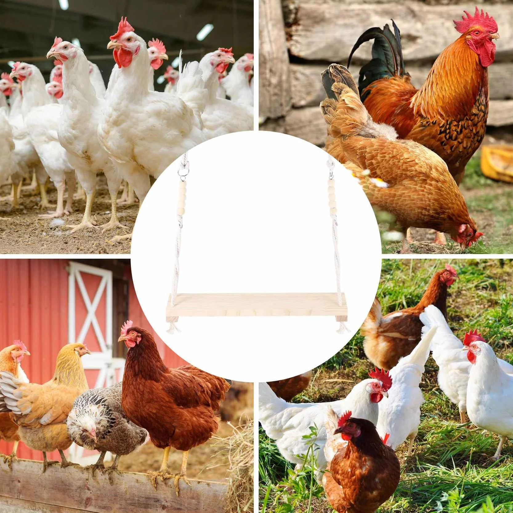 Giocattolo Altalena di Pollo in Legno Naturale per Galline da Cortile