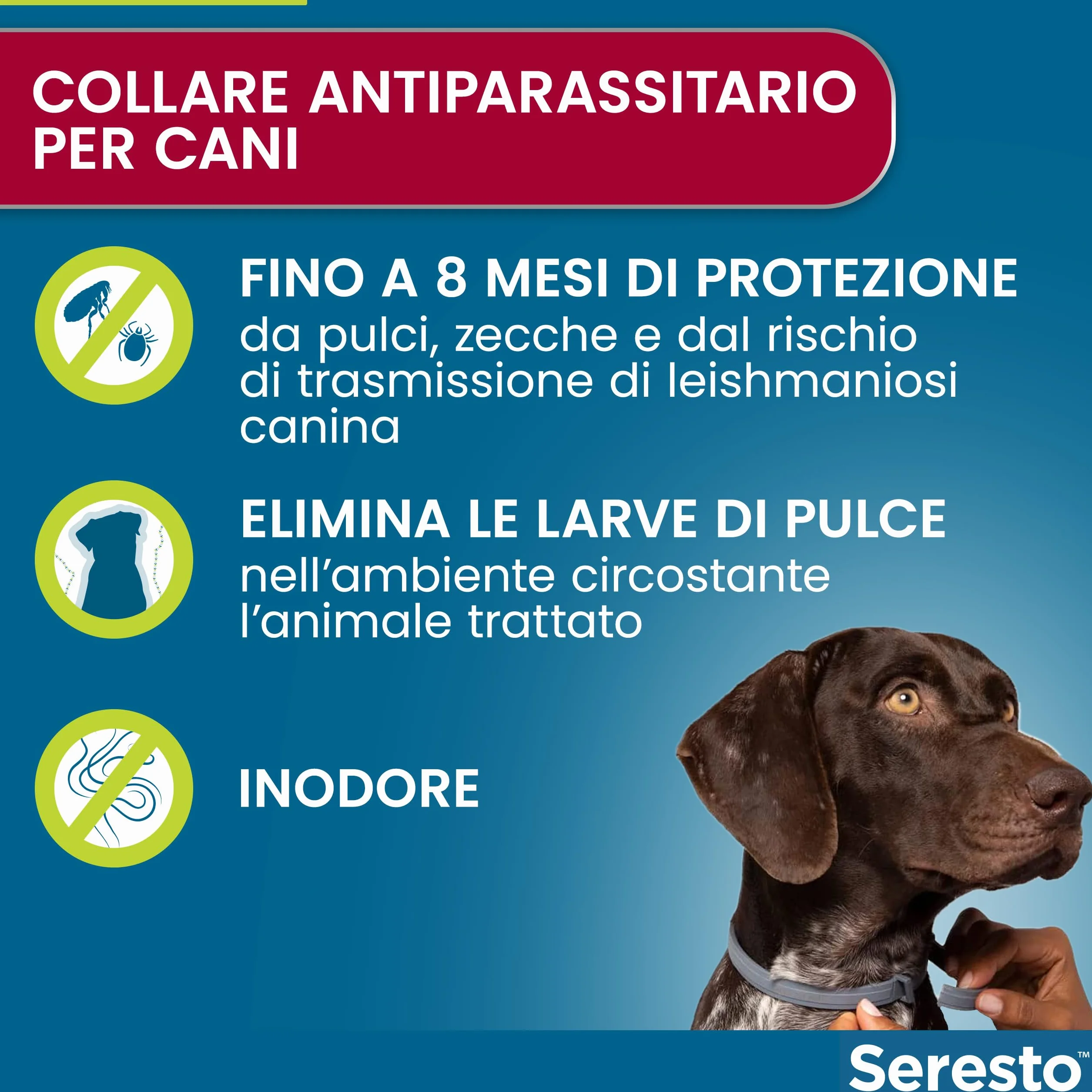 Seresto collare antiparassitario per cani oltre 8 kg elimina pulci zecche pidocchi protezione leishmaniosi 8 mesi