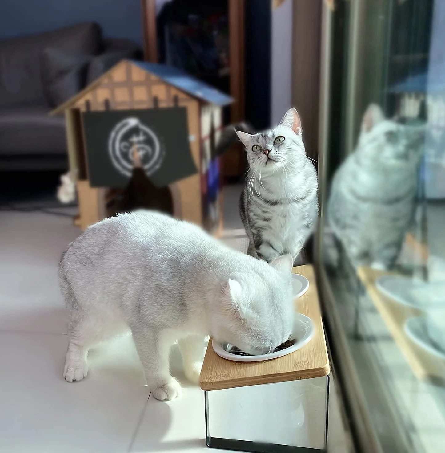 GUUSII HOME Ciotole per Gatti Rialzate Ciotola Gatto Ceramica Legno 15° Inclinate Gatto Set di Doppio Ciotole per Alimenti Ø14cm con Supporto in Bambù Inclinato Antiribaltamento (Colore legno)