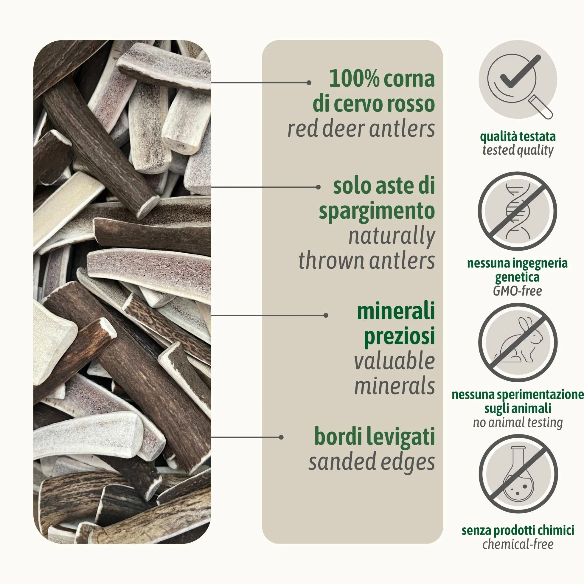 ChronoBalance-XXL Corno di Cervo per Cani, Confezione da 2, Dimezzato, 100% Naturale, Osso di Cervo, Cura Dentale, Giocattolo per Cani, Senza Sostanze Chimiche, Lunga Durata