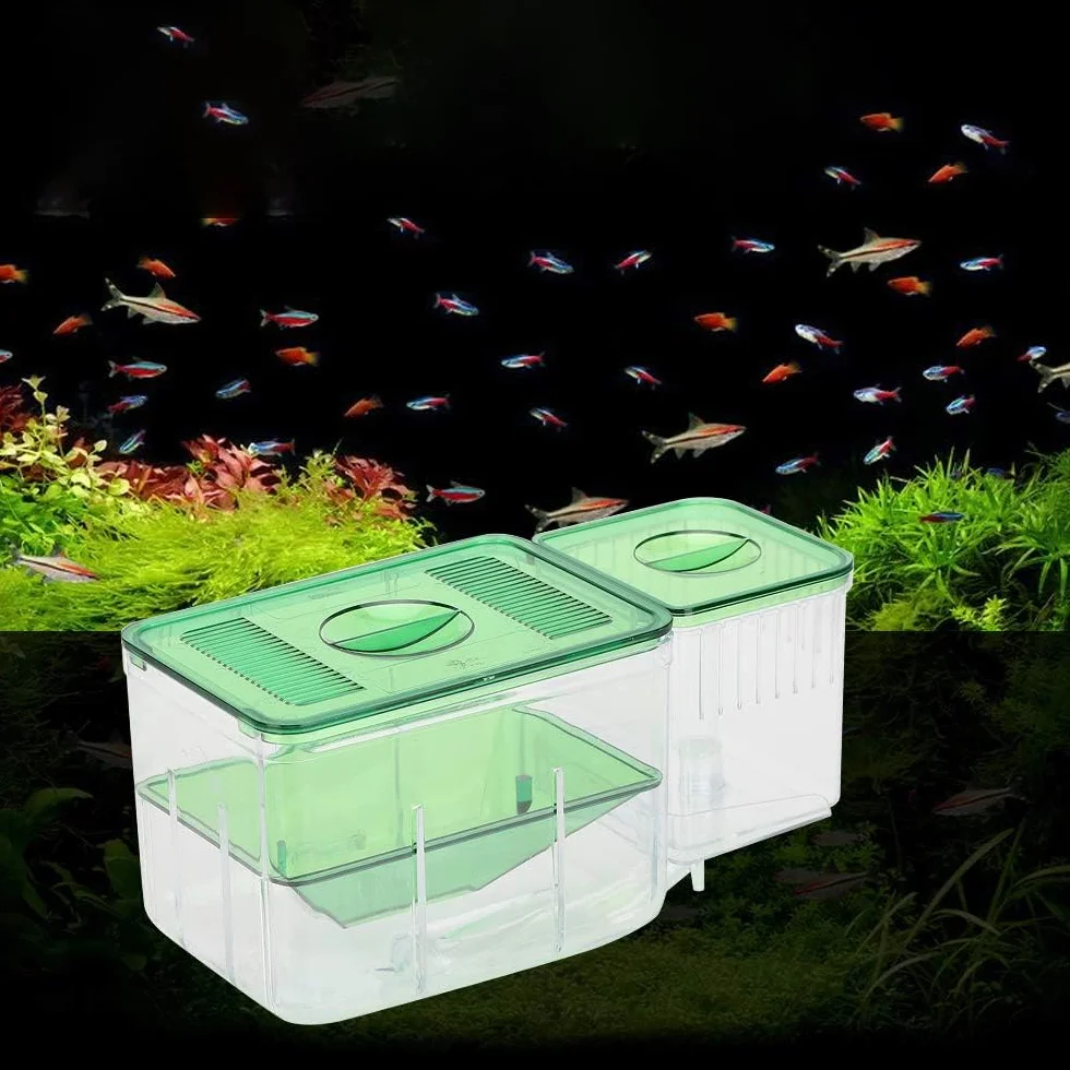 Acquario per Pesci Scatola di Riproduzione Scatola di Riproduzione per Pesci a Doppio Strato Scatola di Isolamento Incubatrice per la schiusa degli avannotti per l'allevamento Incubatrice