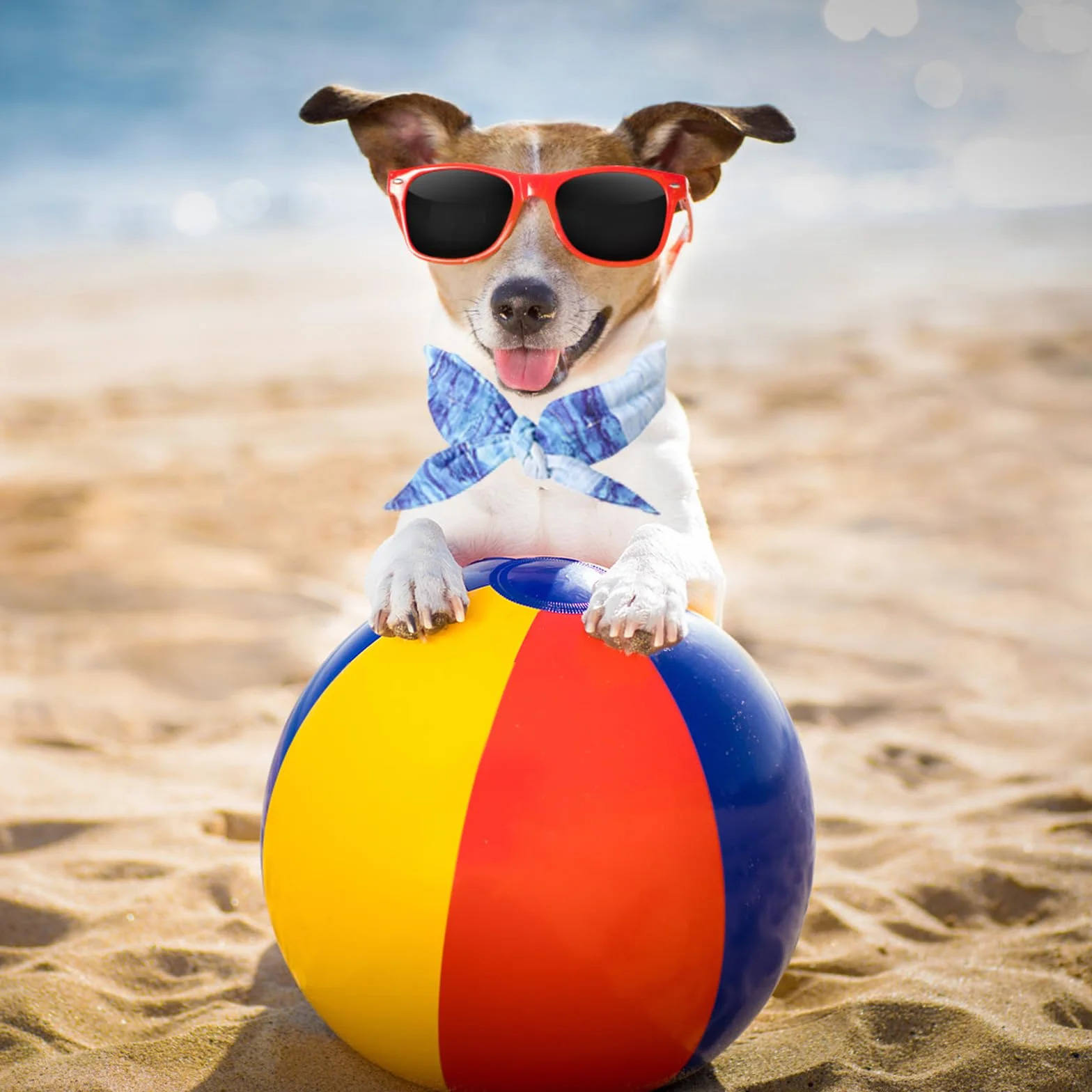Bandana Rinfrescante per Cani, Collare Raffreddamento Ghiaccio Estate