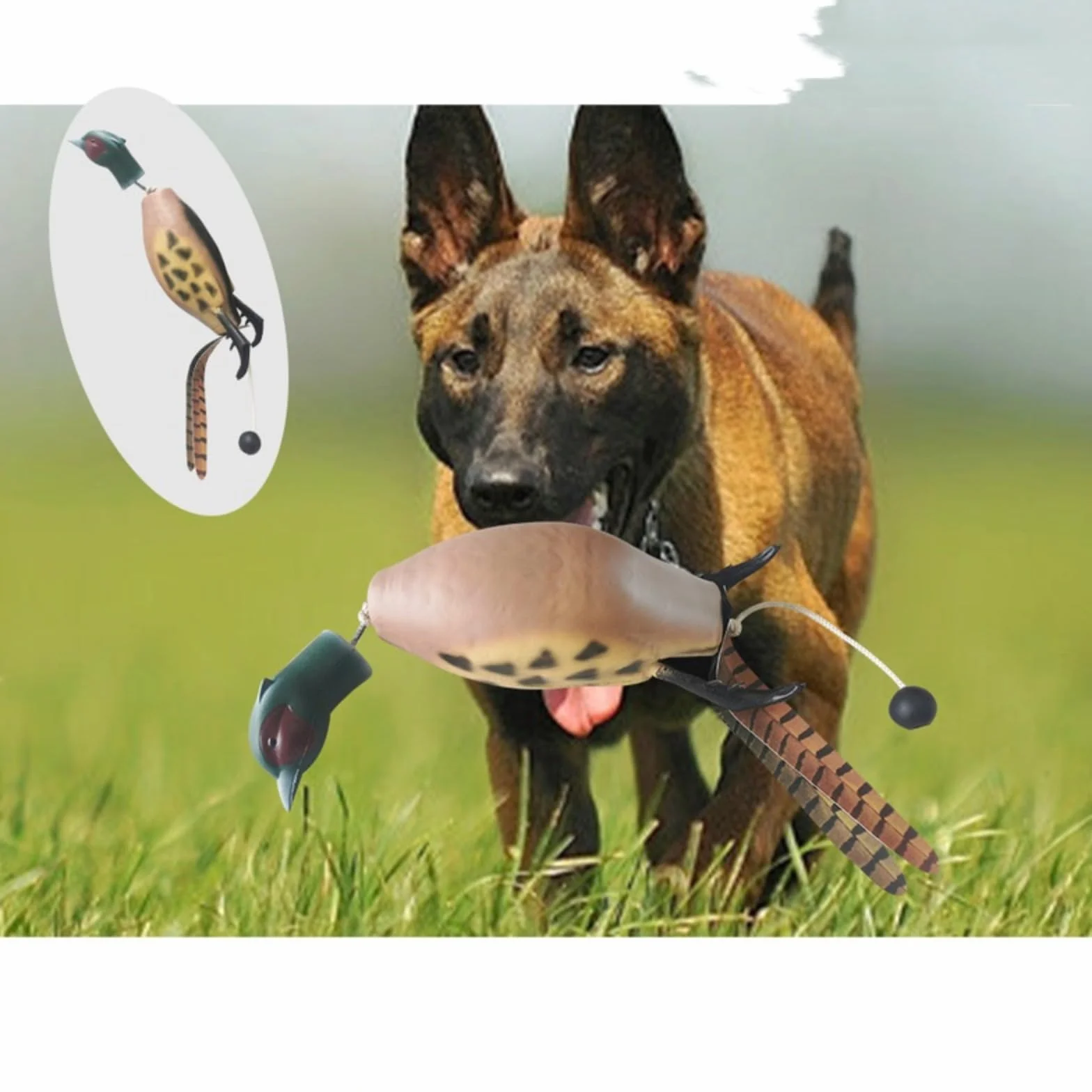 Galleggiante, Lancio a Lungo Raggio, Gioco Classico per Il Riporto, addestramento Cuccioli e da Caccia. Dummy Pistola per addestramento Cani con levetta per lanciare Il Cane, per addestramento