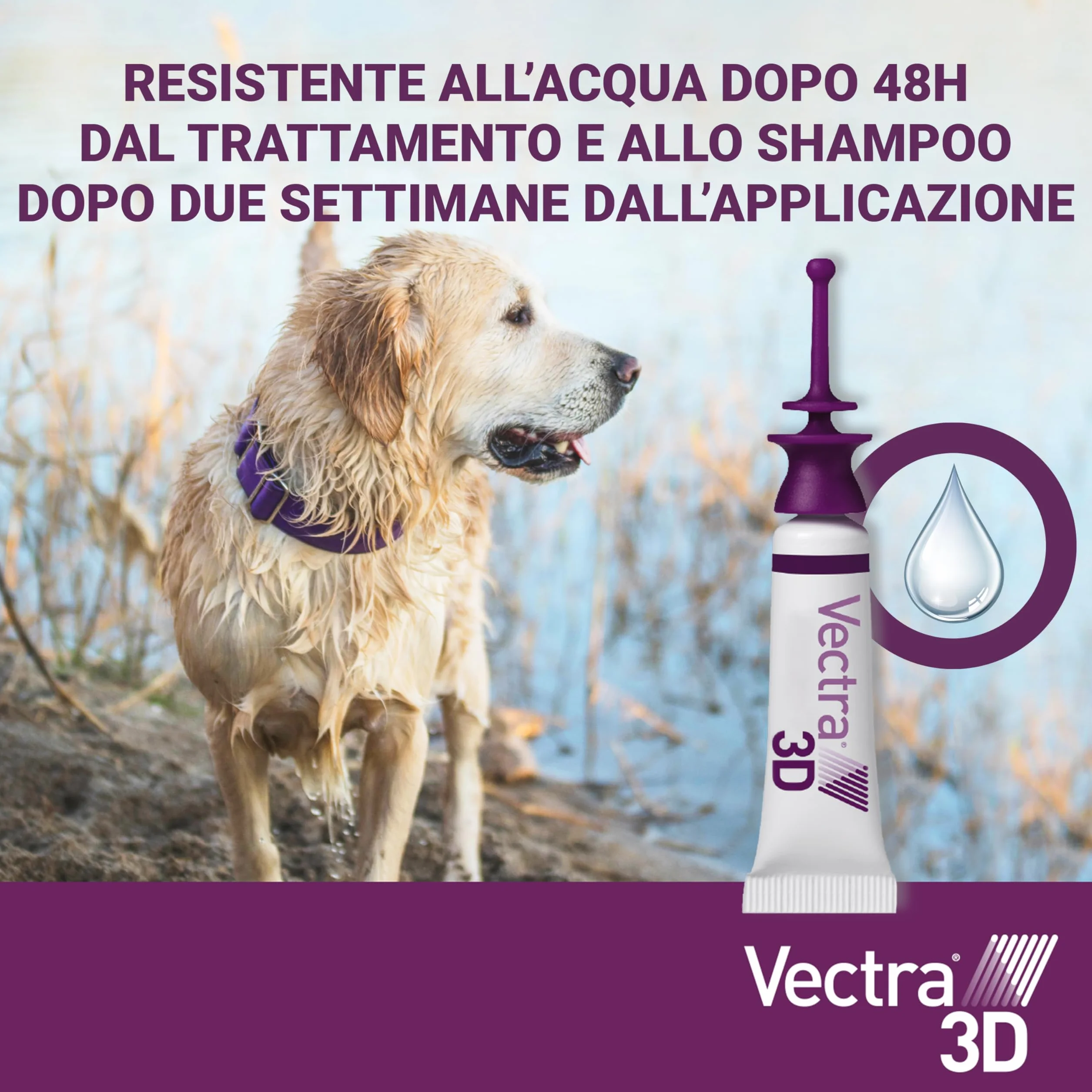 VECTRA 3D Antiparassitario per Cane 3 Pipette Antipulci Antizecche Antizanzare 4-10 kg