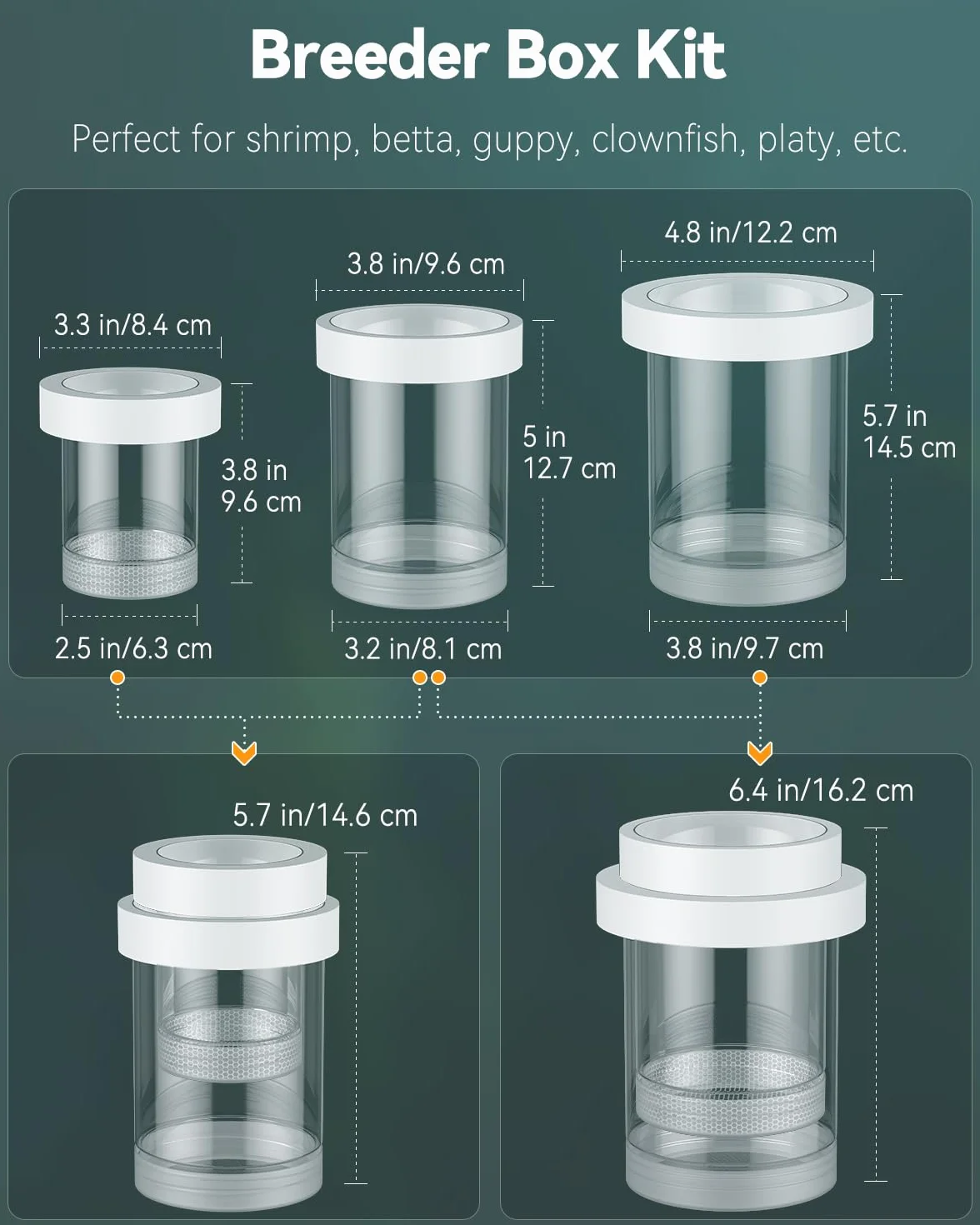 Pawfly Scatola per Riproduzione per Acquario, Box Galleggiante per Guppy, Separatore per Avannotti, Incubatrice in Plastica per Gamberetti, Betta e Pesce Pagliaccio, Medio