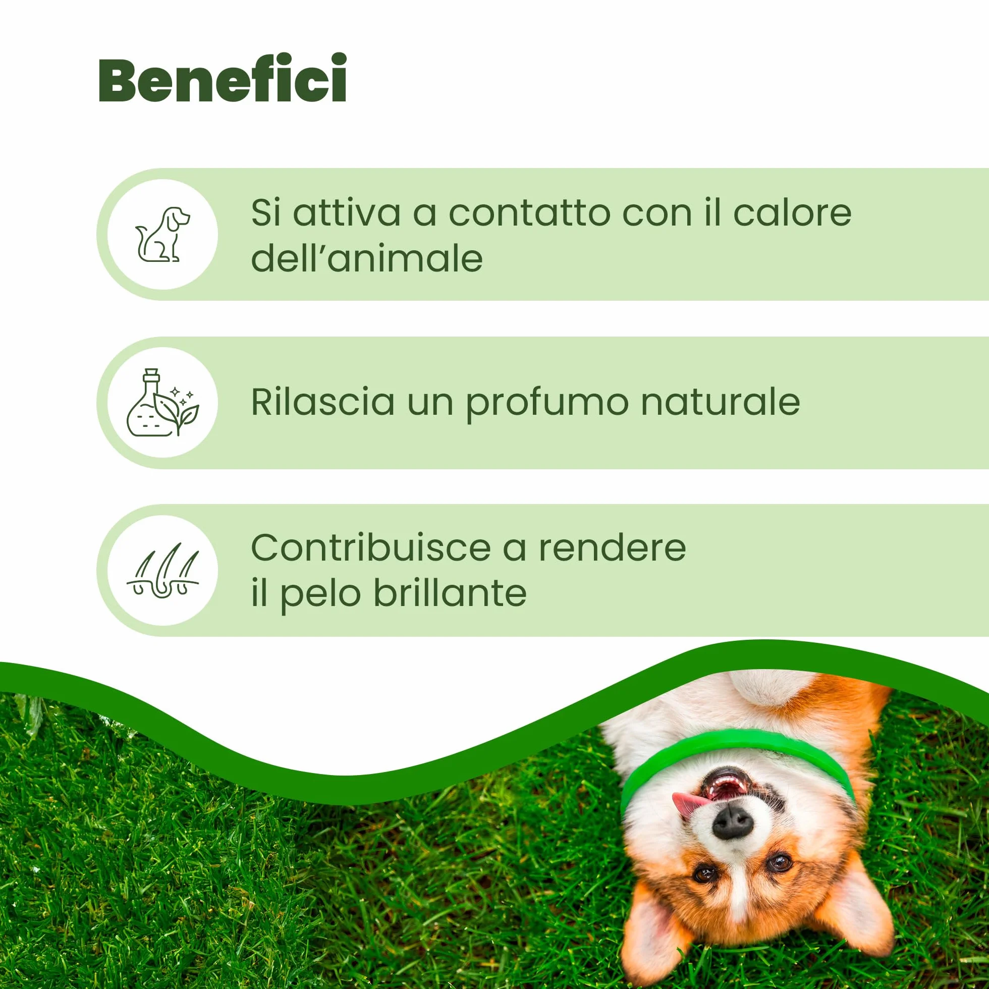 Collare Barriera per Cane Olio di Neem 60cm Resistente all'Acqua Protezione 2 Mesi
