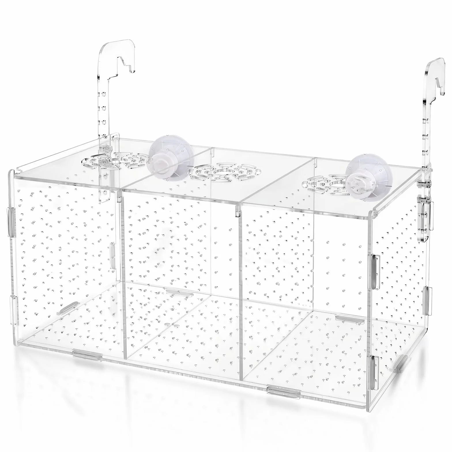 Sala Parto Guppy, Scatola Di Allevamento Per Acquario, Isolare Piantine E Sostenere L'incubazione