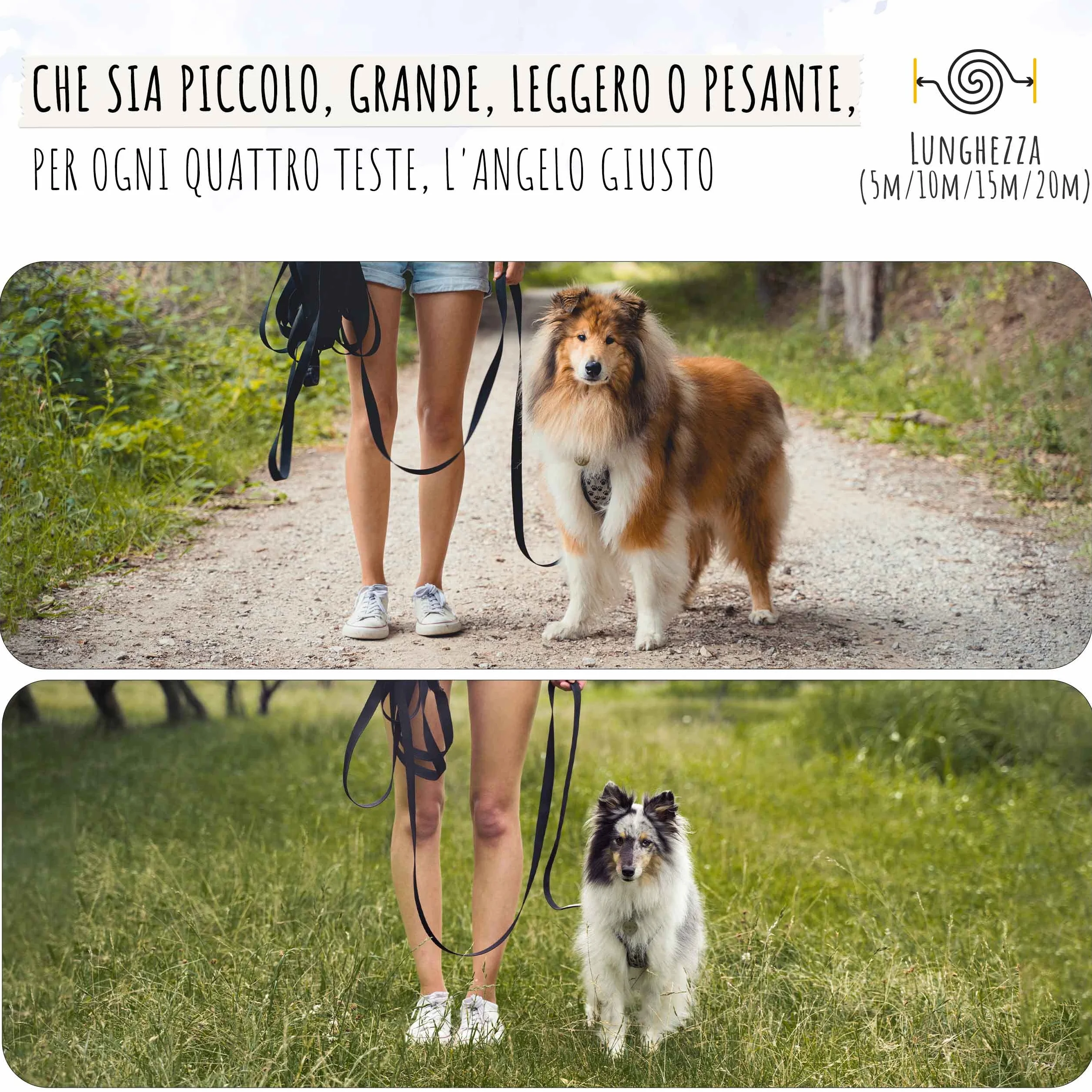 Rudelkönig Guinzaglio addestramento per cani - Lunghina cane 5 metri - Resistente e durevole guinzaglio per cani per un'Efficiente educazione del tuo cane