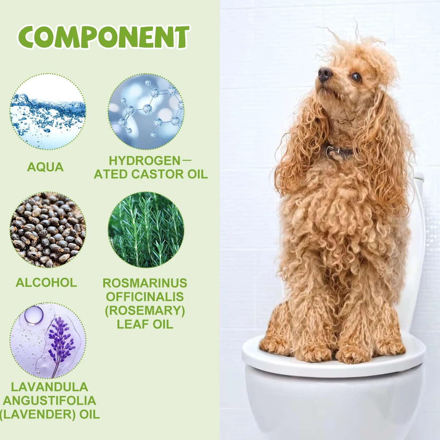 Spray Fai La Pipì Qui per Cani, Spray per Addestramento Vasino per Animali Domestici, 30 ml Attrattivo per pipì per animali domestici, Attraente, Strumenti Addestramento, Protezione Casa Mobili