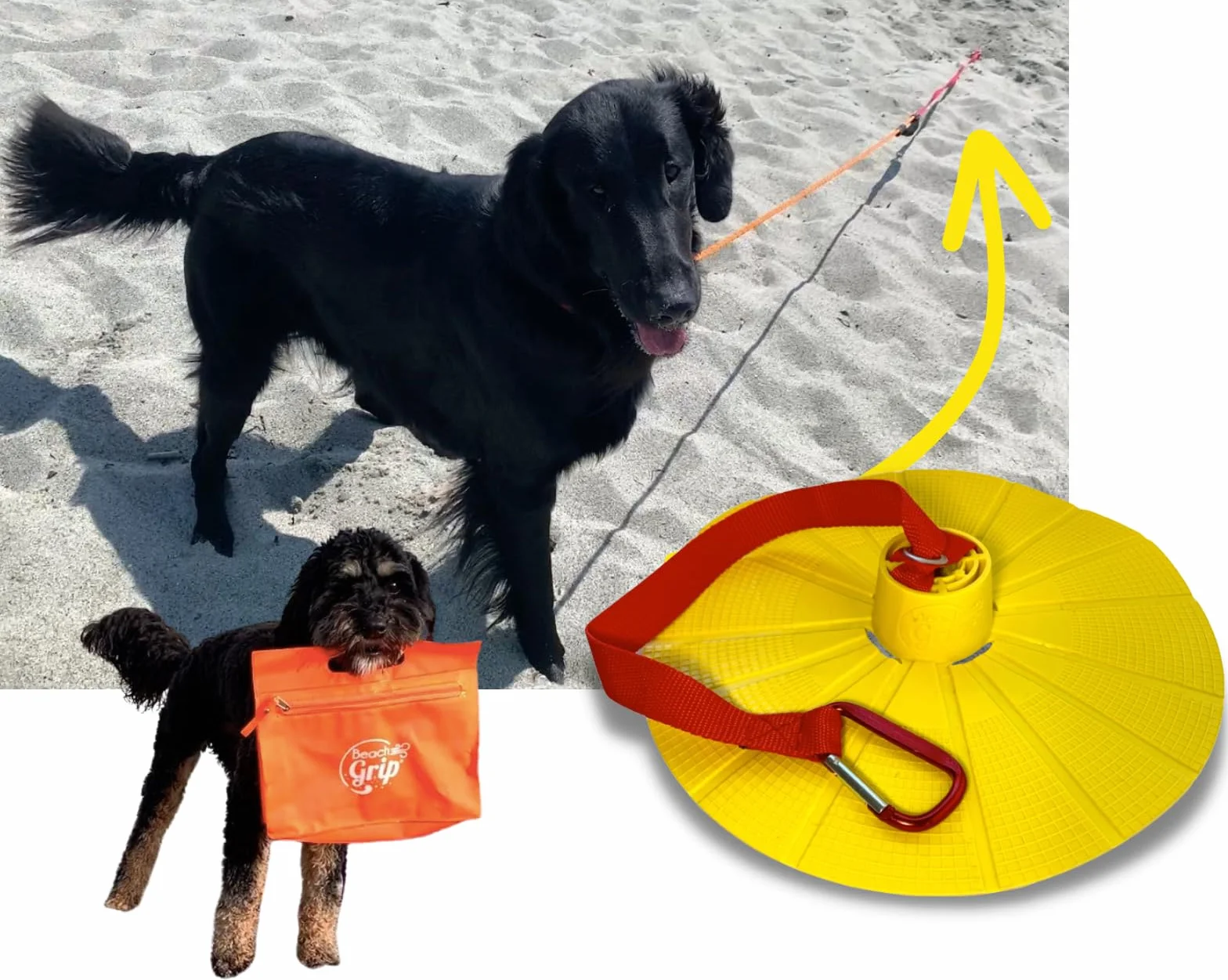 BeachGrip Ancoraggio per cani da spiaggia, progettato per funzionare nella sabbia, piccolo, leggero, facile da usare e durevole, l'accessorio per portare il vostro amico a quattro zampe in spiaggia