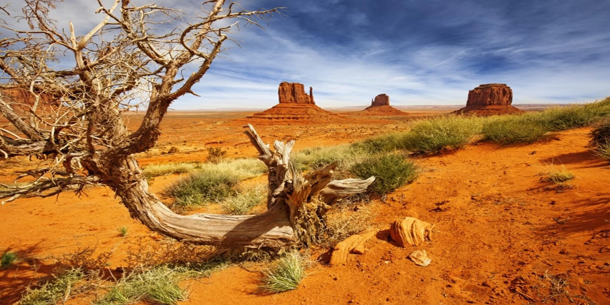 120x61cm Rettile Habitat Sfondo Arancione Deserto Terrario Sfondo Vinile Sfondo