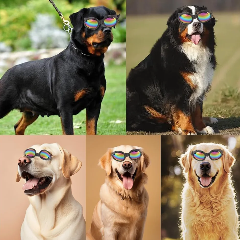 Occhiali da sole per cani, occhiali da sole antivento anti-appannamento e protezione UV per gatti e cani di piccola taglia (nero)