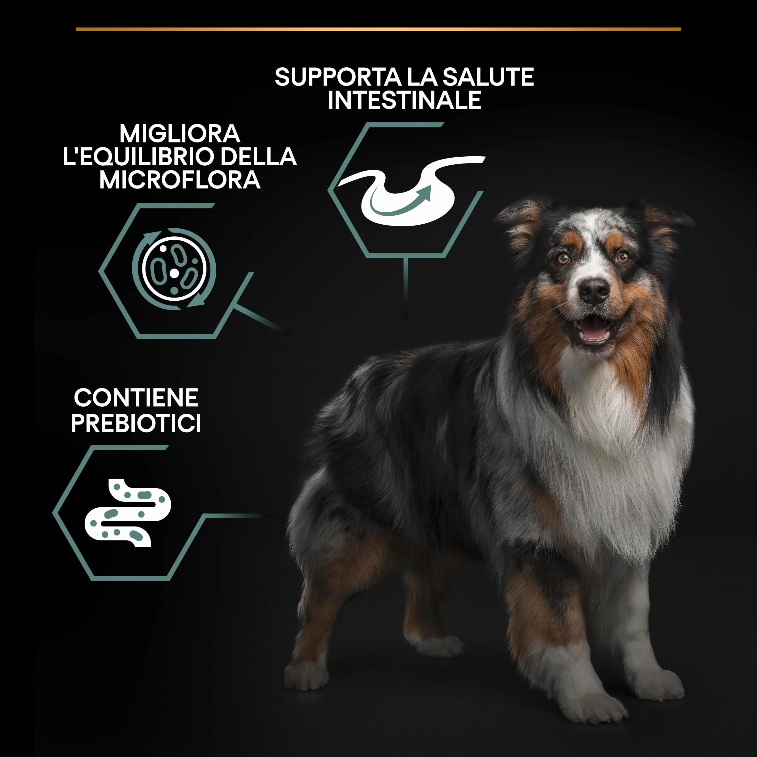 Purina Pro Plan Medium Adult Optidigest Cane Crocchette, 1 Sacco da 14 kg