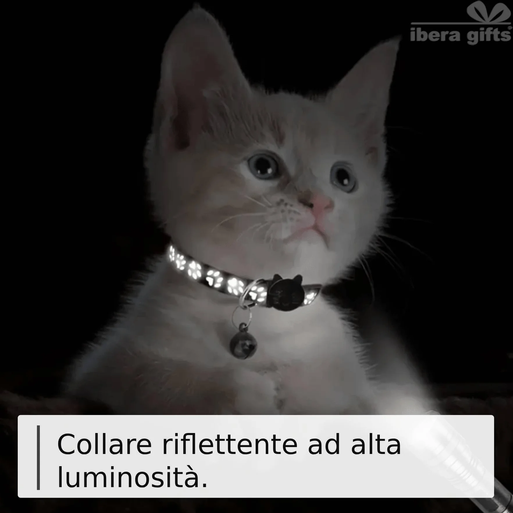 Collare Gatto Personalizzato Antistrangolamento e Riflettente, Regolabile, con Targhetta Incisa, Sicuro e Confortevole per Tutti i Gatti (Azzurro)