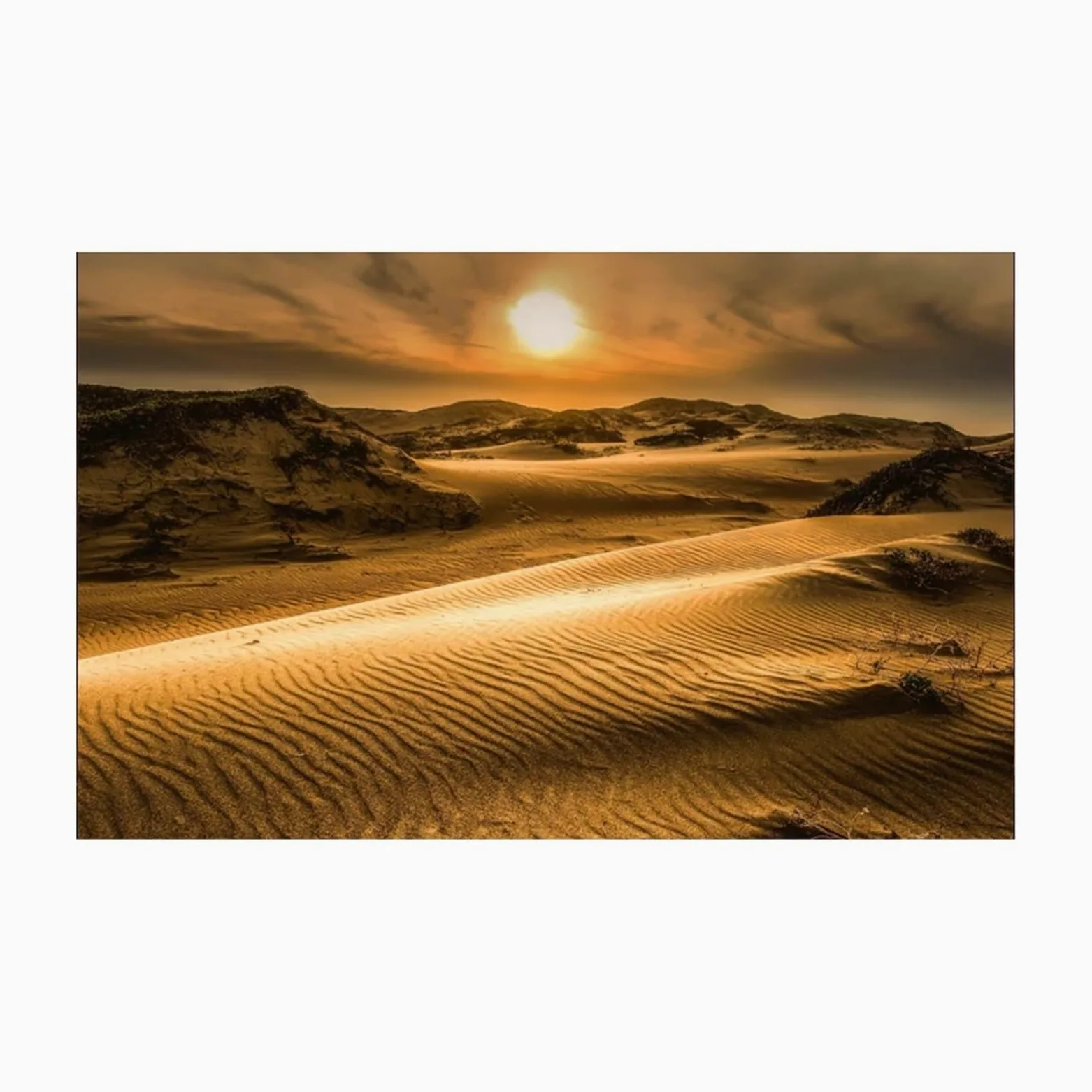 Sfondo Adesivo for Acquario, Sfondo Poster, Decorazione for Acquario nel Deserto, Carta da Parati autoadesiva(50x80cm)