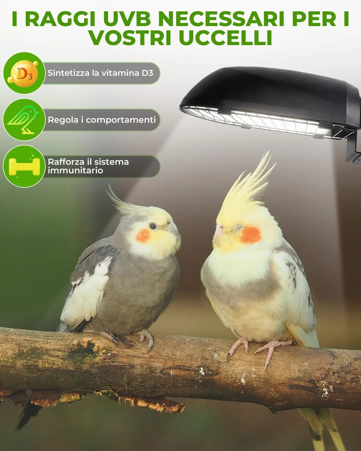 GlowUp Lampadina UVB 2.4 20W E27 per Pappagalli Kit Combinato