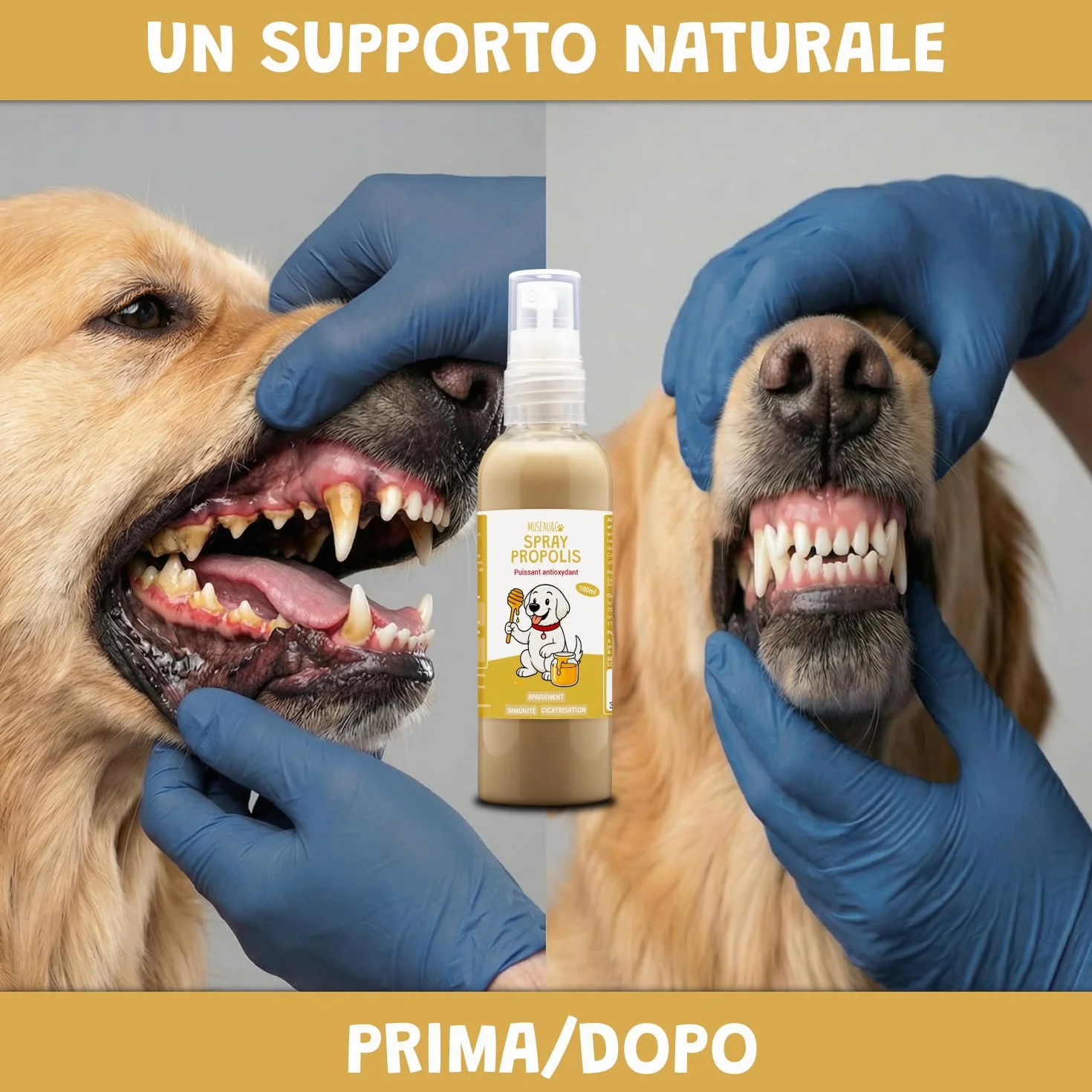 Spray Propoli Pura 100ml per Cani e Gatti | Igiene Orale, Placca & Alito Cattivo | Antibatterico & Antifungino Naturale | Senza Alcool | 3-4 Spruzzi 2-3x Settimana | Museau & Co