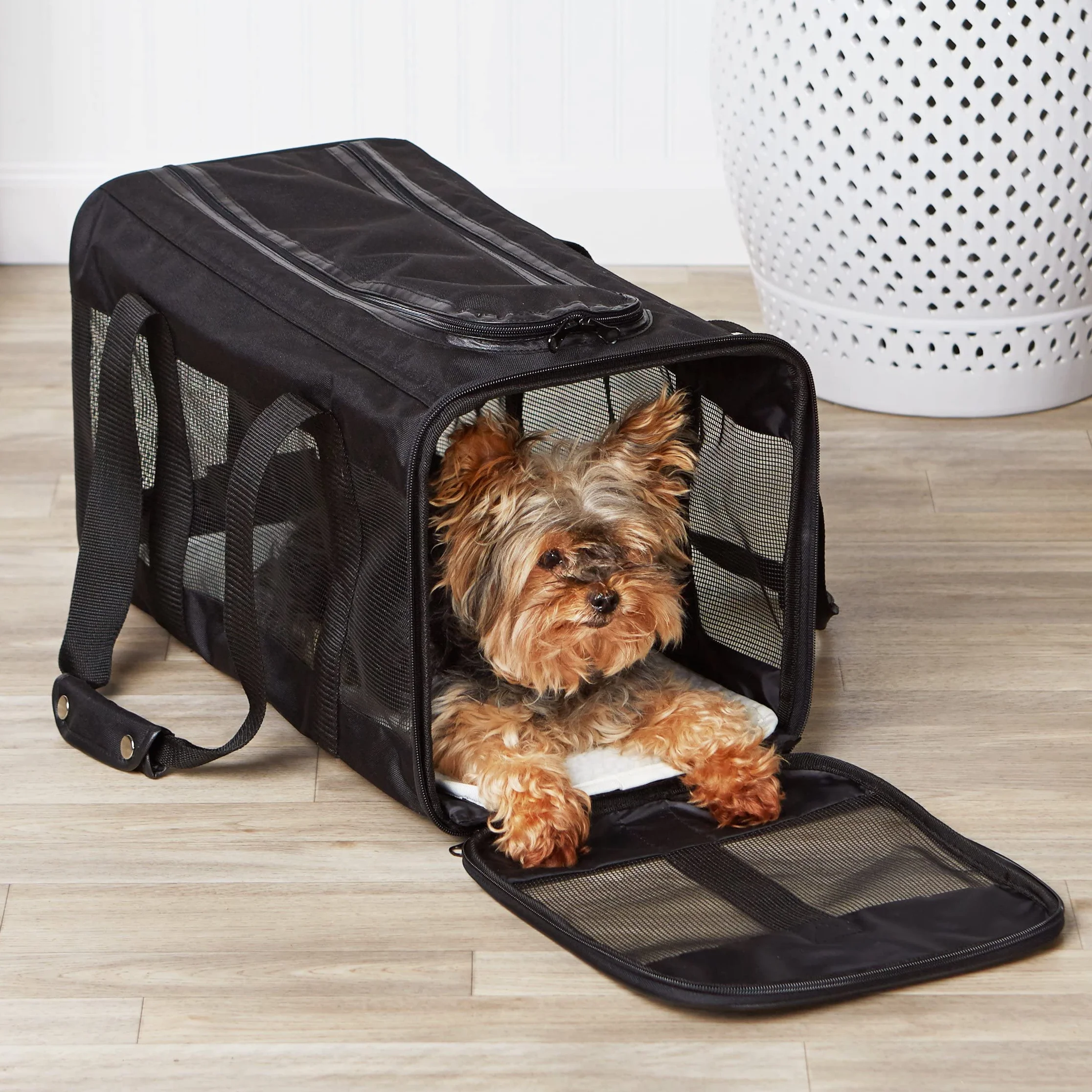 Amazon Basics Trasportino Morbido per Cani,Gatti - Grande, Nero, L 50 x P 26 x H 28 cm