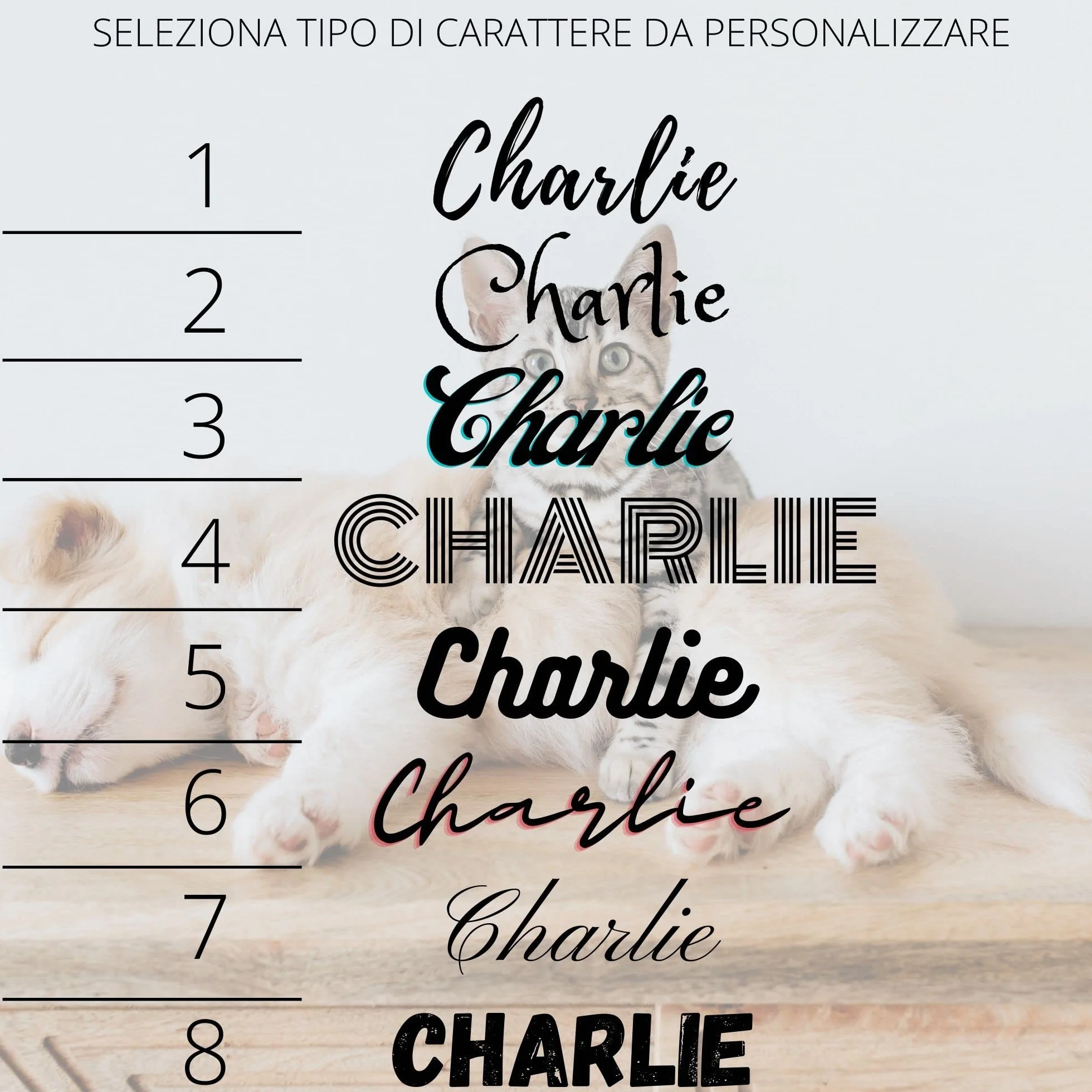 Ciotole per cani gatti personalizzate in acciaio inox con supporto in legno