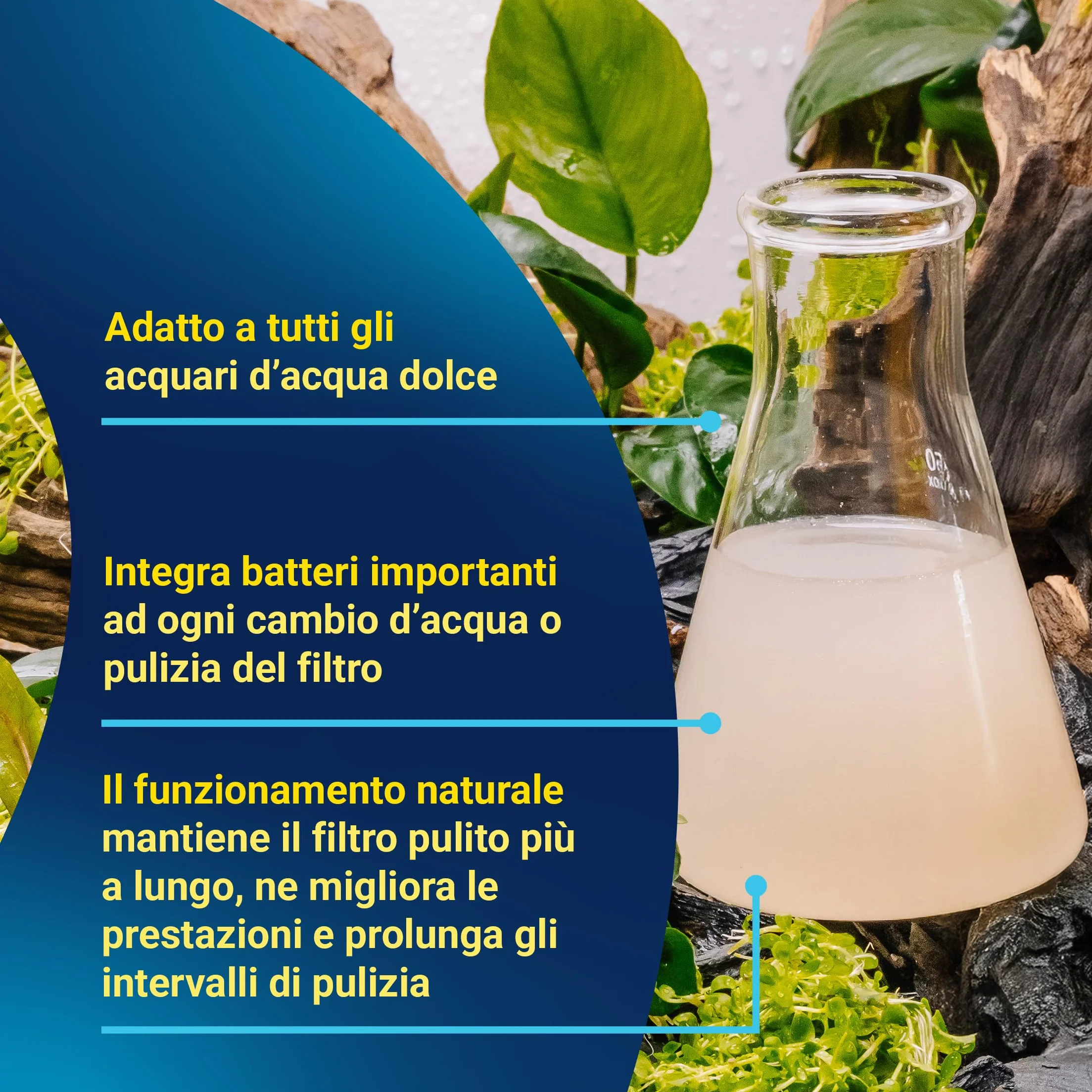 Tetra FilterActive 250 ml Batteri Vivi Attivano Filtro Riducono Accumulo Impurità Mantiene Biologicamente Attivo