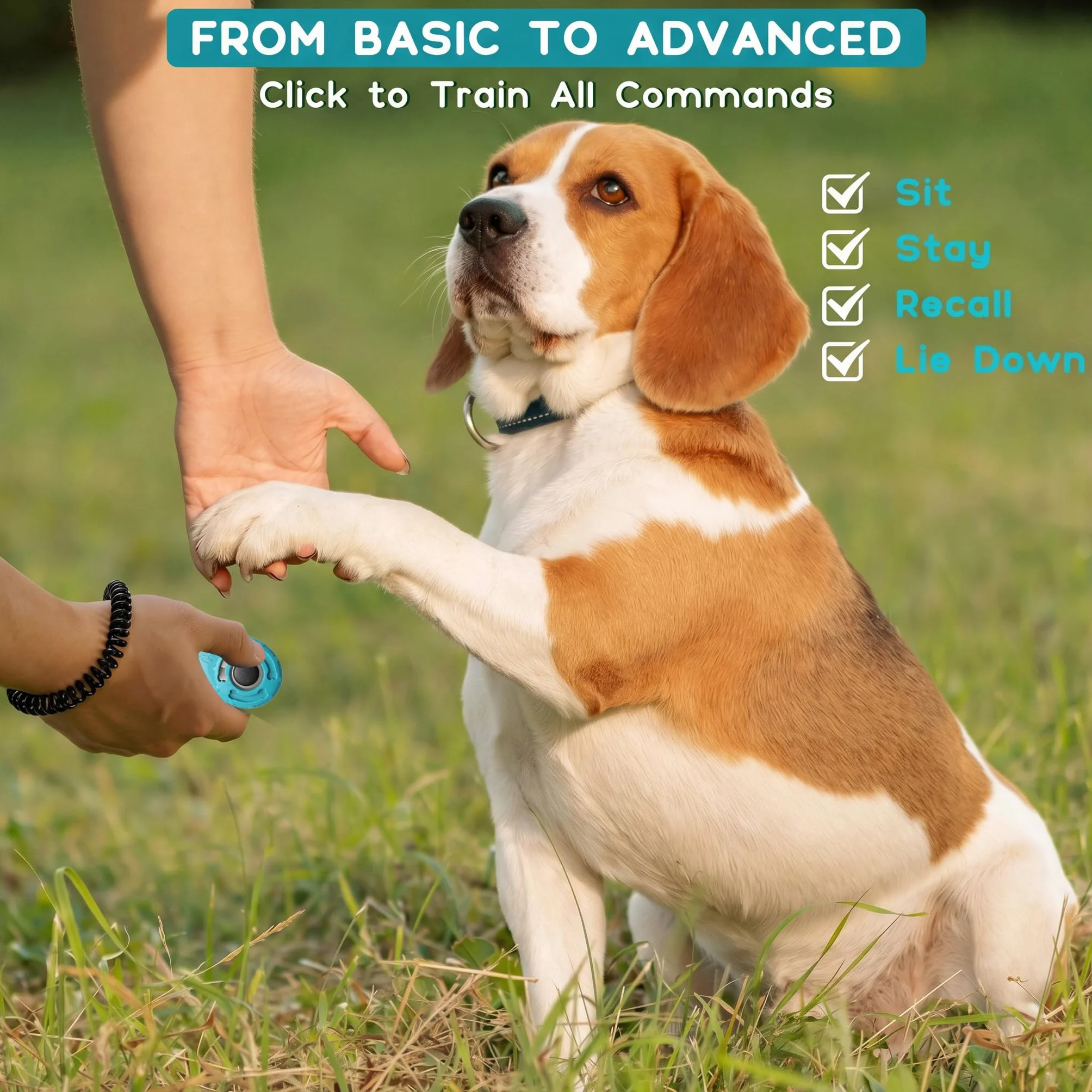 Newnewstar Pet Training clicker con Cinturino da Polso – Dog Training Clickers, New Black + Blue