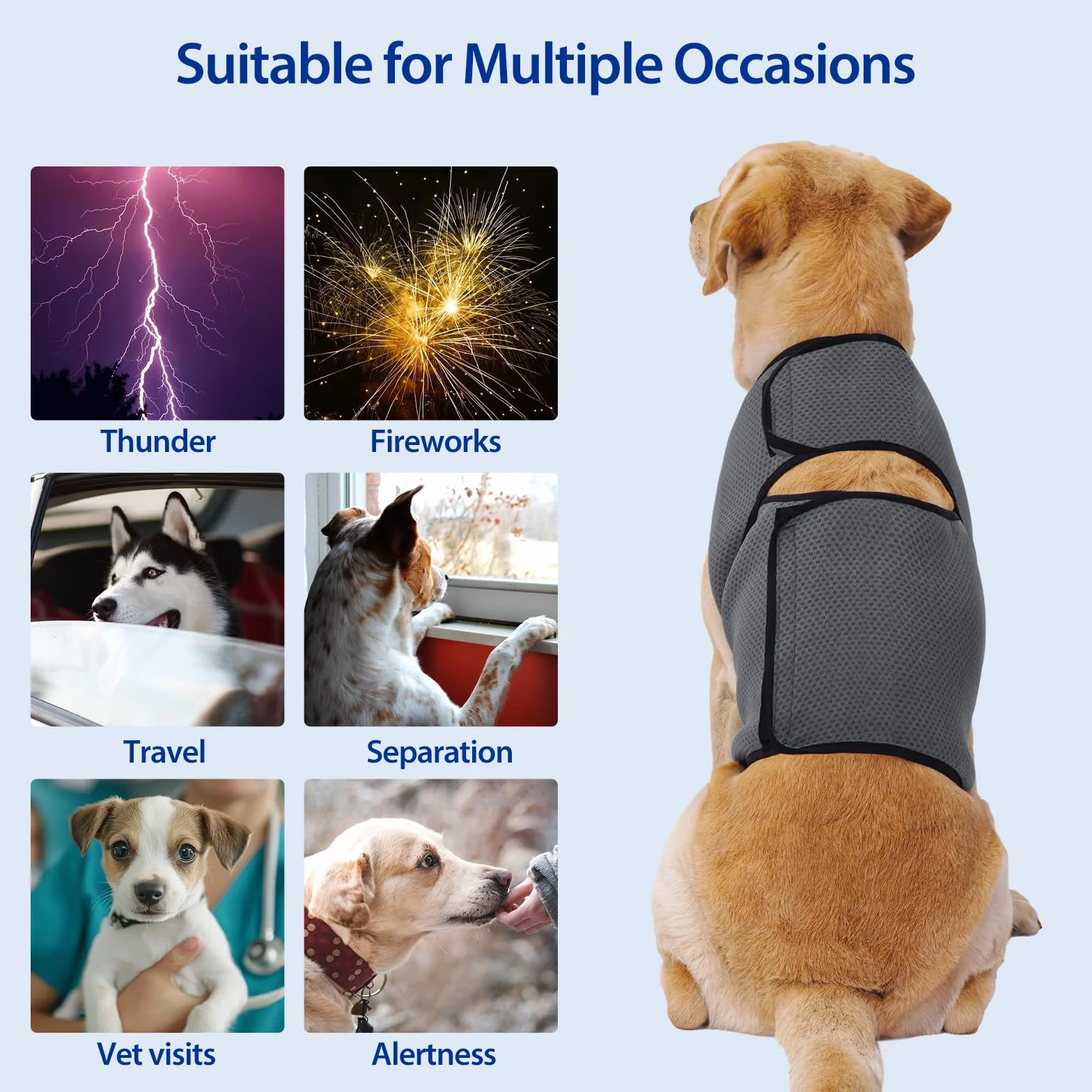 Cappotto Anti Ansia Cane Calmante Gilet Antiansia Cani Tuoni Fuochi Separazione Collo Regolabile Leggero Giacca Ansiolitica Taglia Piccola Media Grande