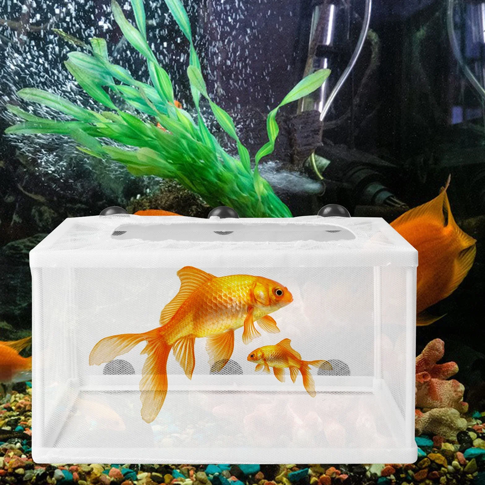 Scatola di Allevamento di Pesci, Incubatore di pesce, Scatola di Isolamento Allevatore di Pesci, Grande Serbatoio di Pesce Vivaio Allevatore Isolamento Rete con Ventosa, 26,2 * 15 * 15cm