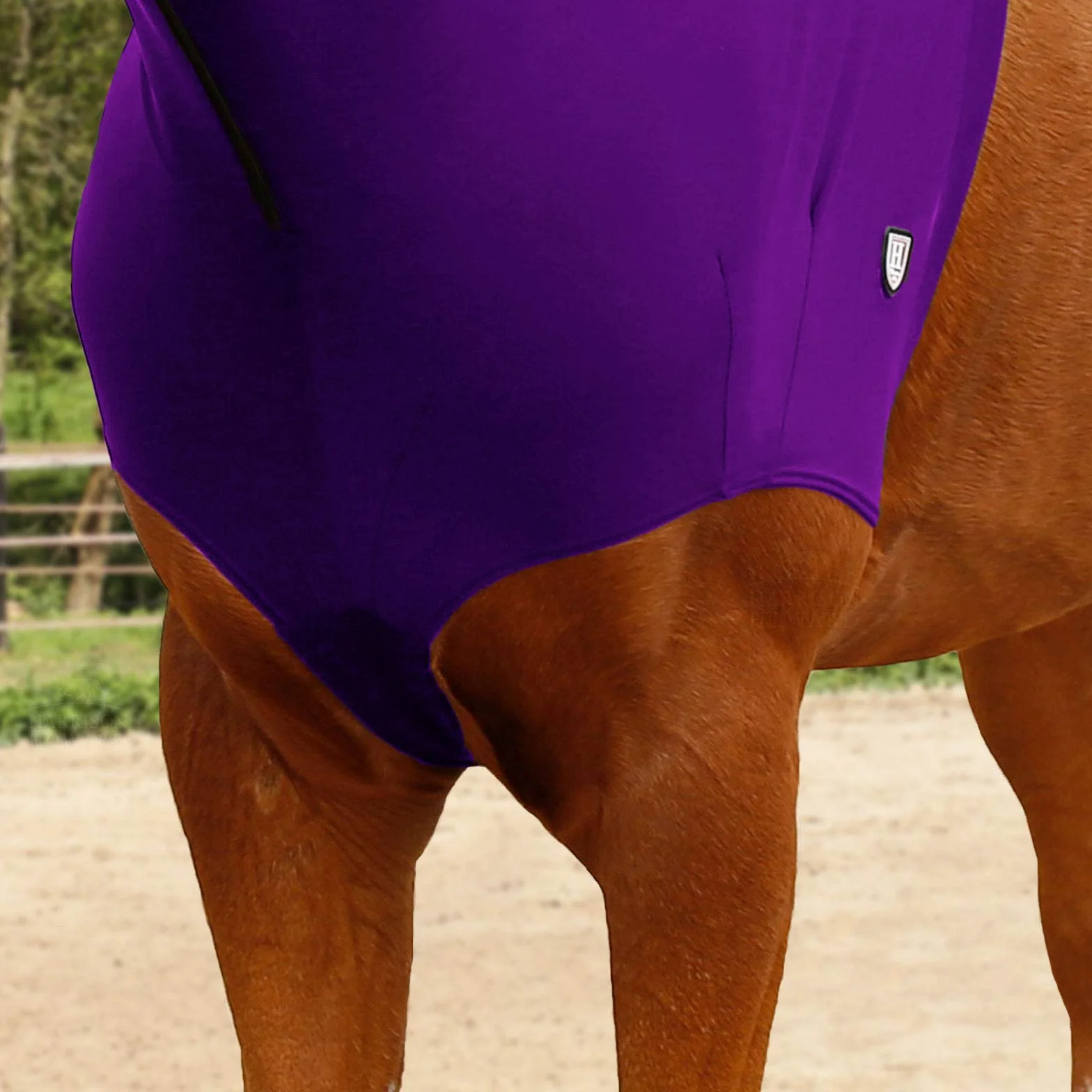 Harrison Howard Cappottino da cavallo elasticizzato con cerniera, viola, taglia M