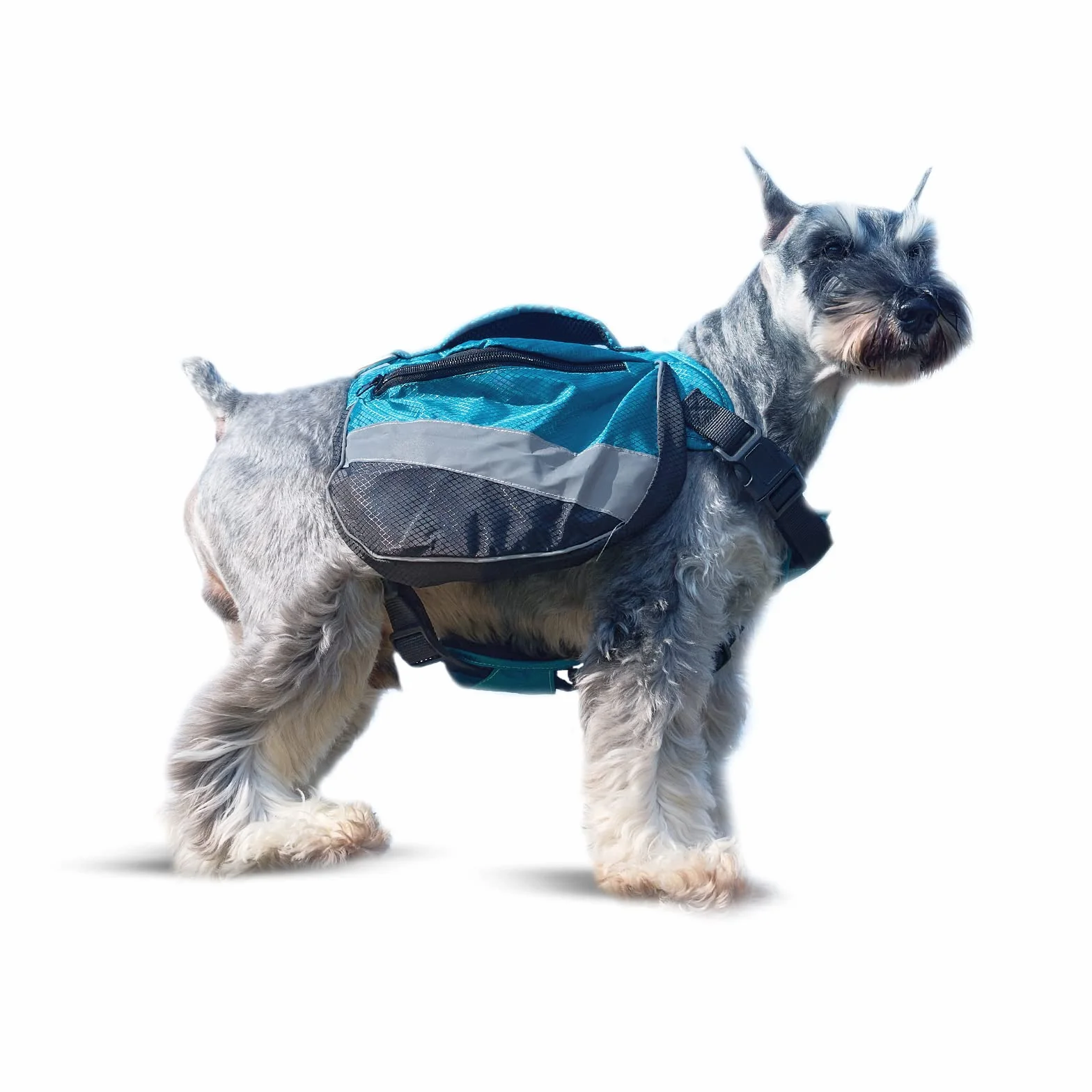 OLIFE Zaino per Cani con Tasche Multiple Strappo per Campeggio Escursionismo Zaino per Cani Lavabile in Lavatrice per Cani di Taglia Unica Borsa da Sella Regolabile(Blu)