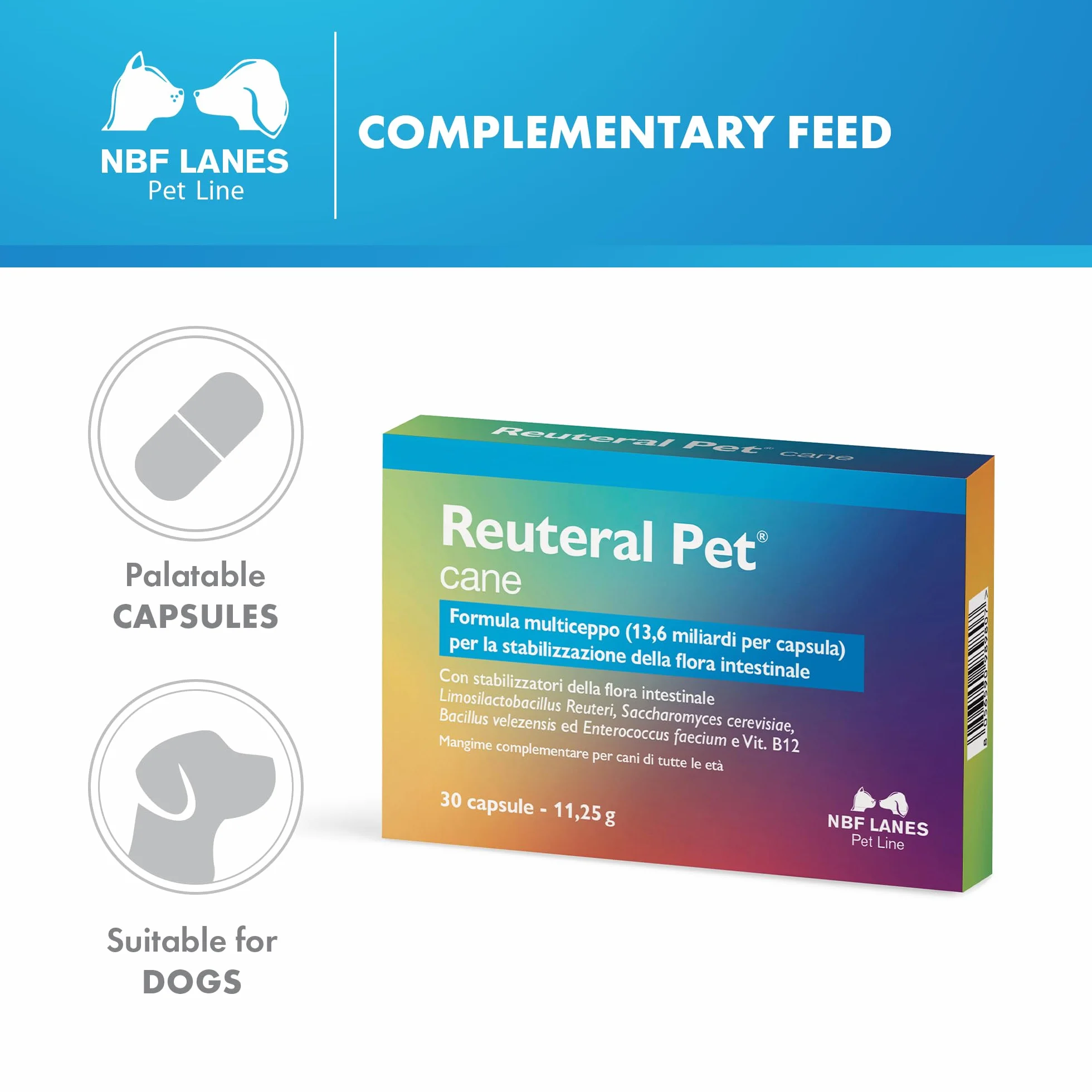 NBF Lanes | Reuteral Pet Cane, 30 Capsule, Probiotico a base di fermenti lattici vivi per la stabilizzazione della Flora intestinale nei Cani
