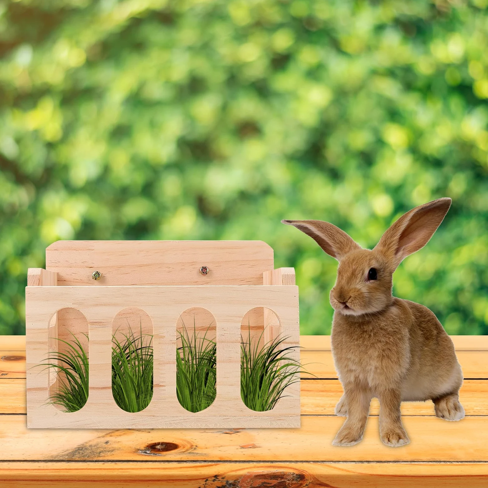 GALPADA Mangiatoia per Conigli e Porcellini D'india in Legno, Facile da Installare e Mantiene Cibo Pulito, Adatta per Gabbie di Piccoli Animali Domestici