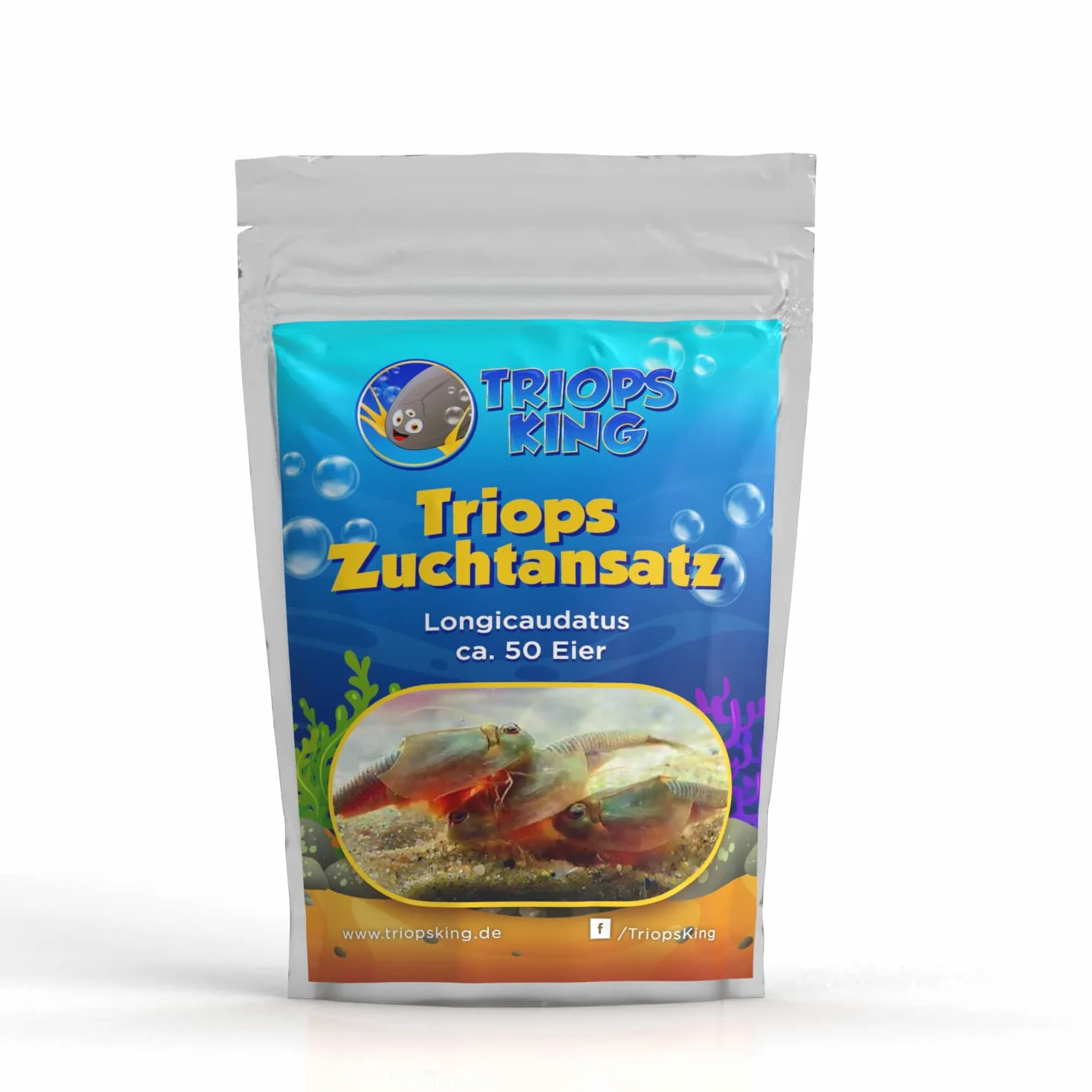 Zestaw do hodowli Triops longicaudatus z pokarmem