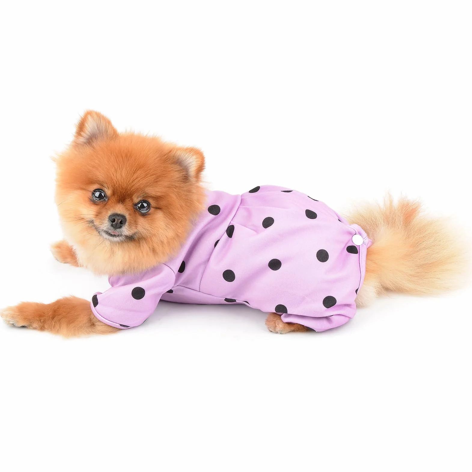 Pigiama Cani Piccola Taglia a Pois Retrò Tuta Elastica 4 Zampe per Gatti e Cuccioli Abbigliamento Notte Caldo Morbido Viola XS