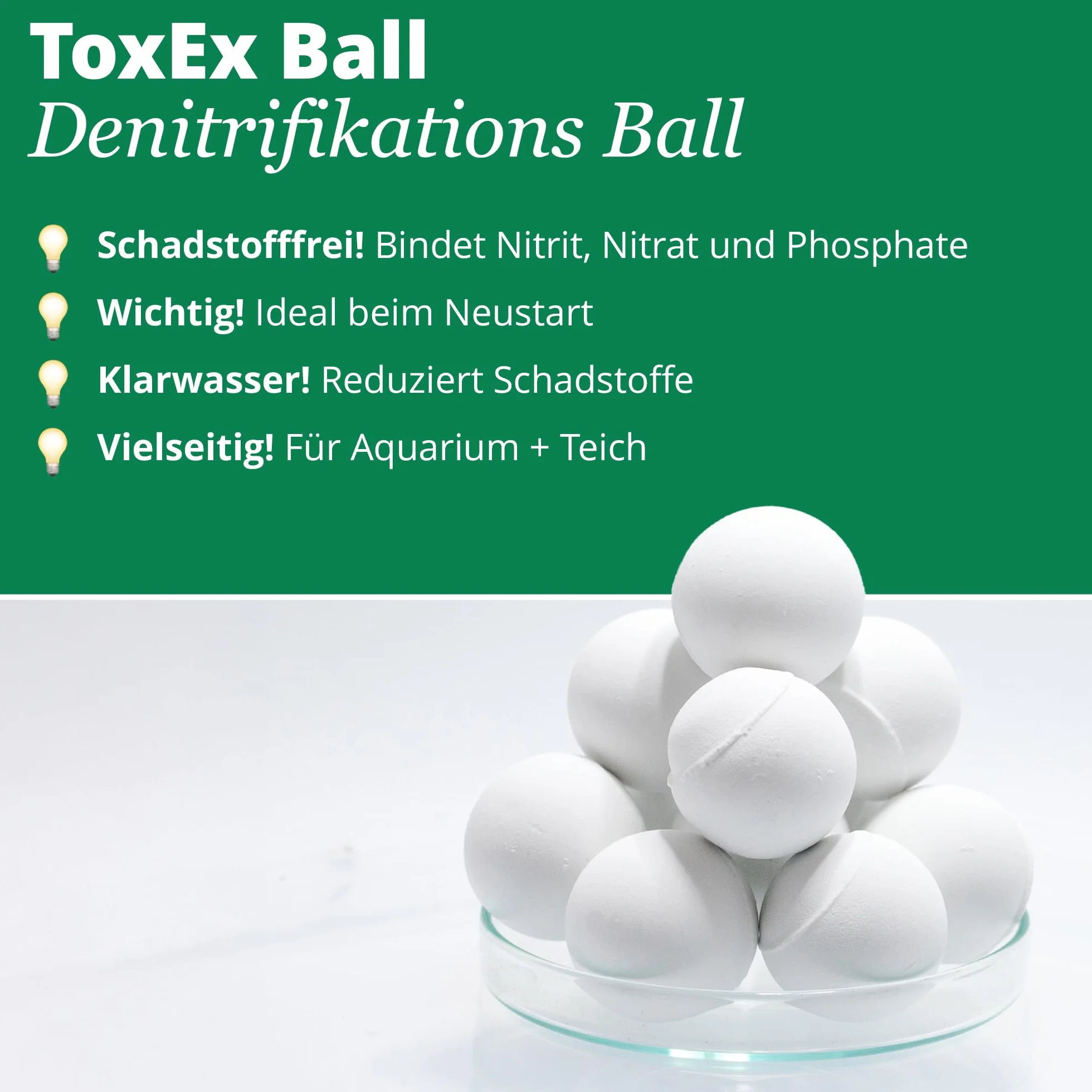 Toxex lumache da stagno palla NH filo mangia alghe fogliame pulito stagno giardino