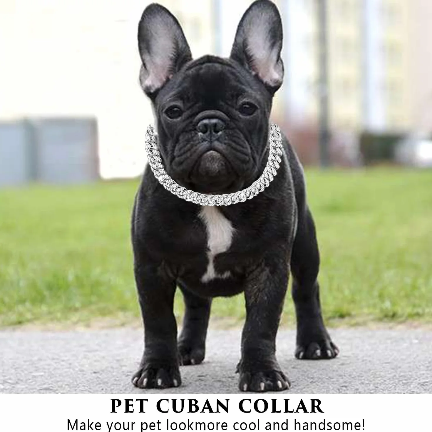 Collana con Catena Cubana in Zircone da 8 Pollici per Cuccioli, Collare con Diamante per Cane