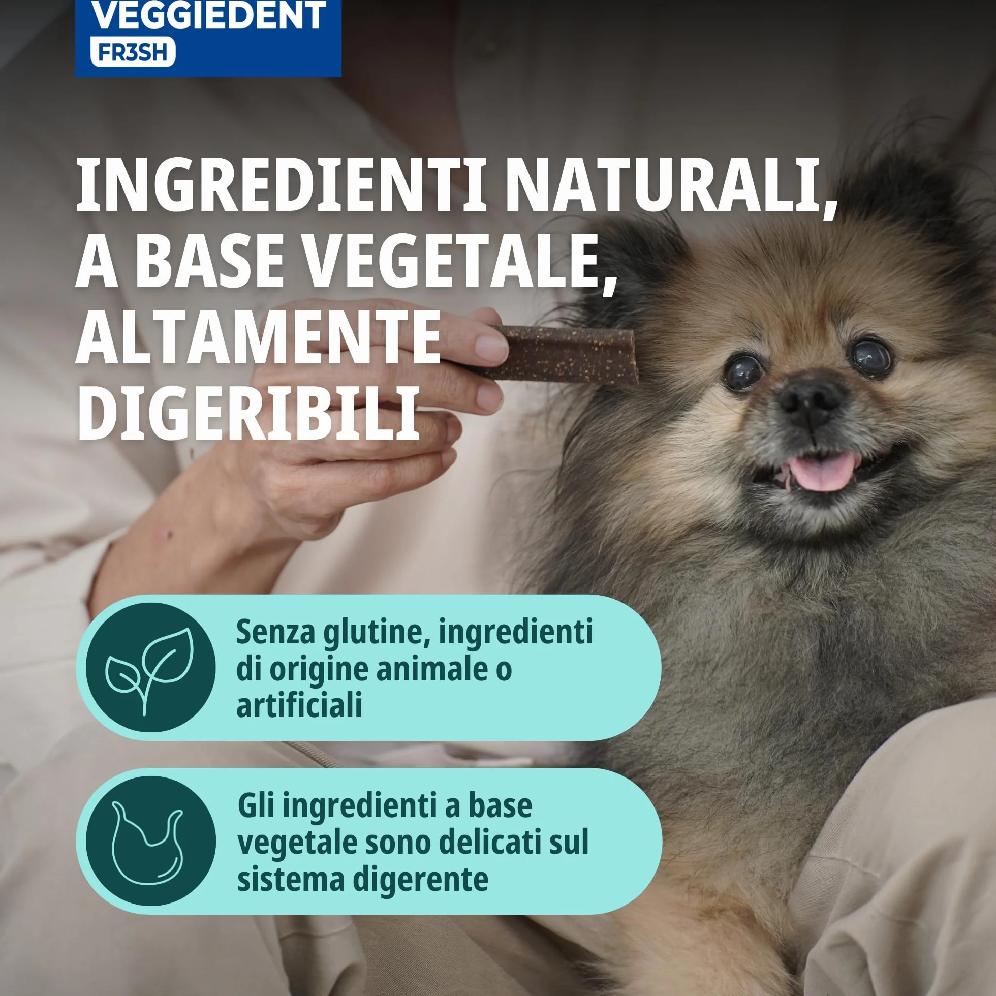 Veggiedent Fr3sh XS 15 Stick